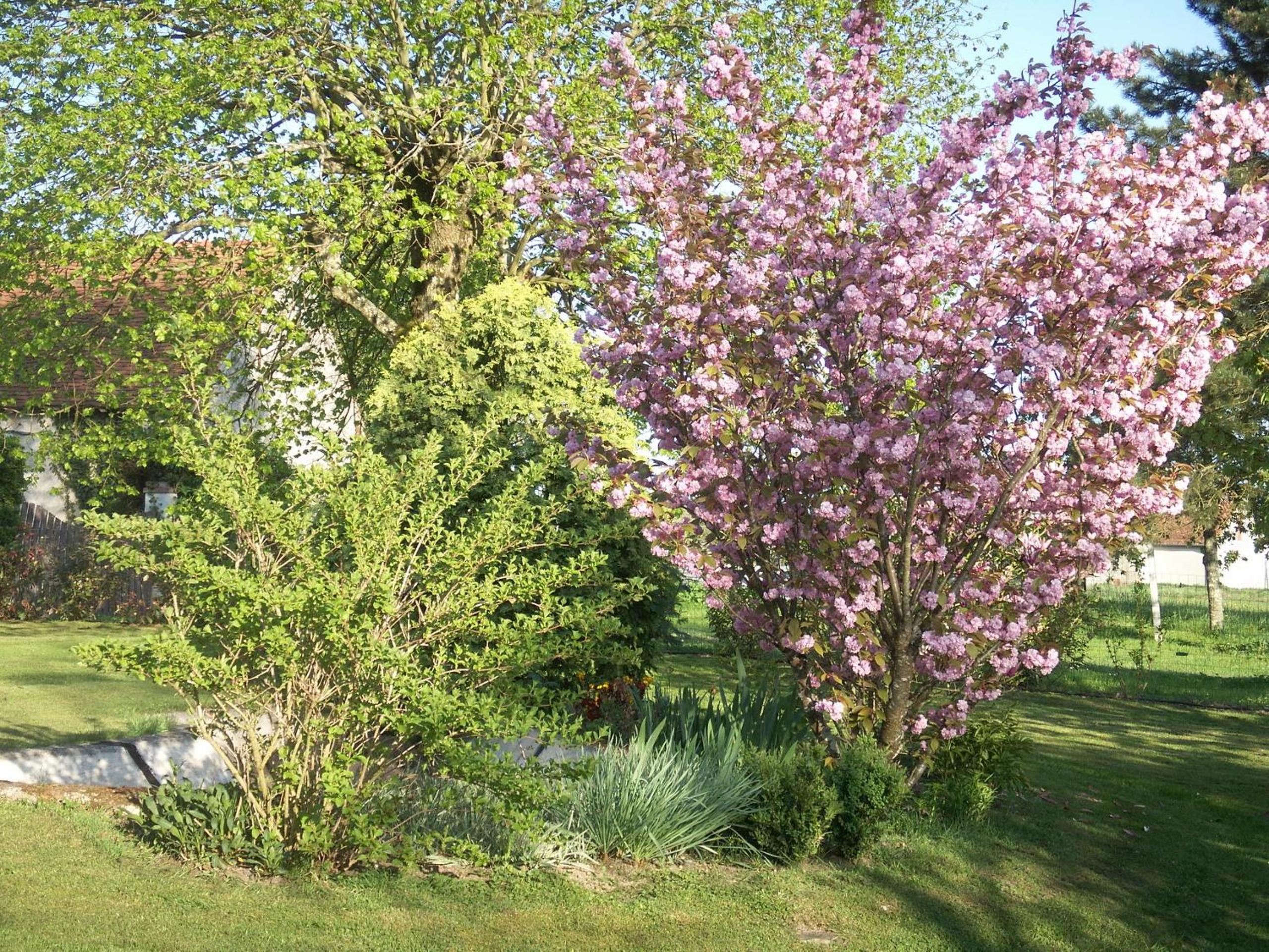 Le Clos des Perraudières