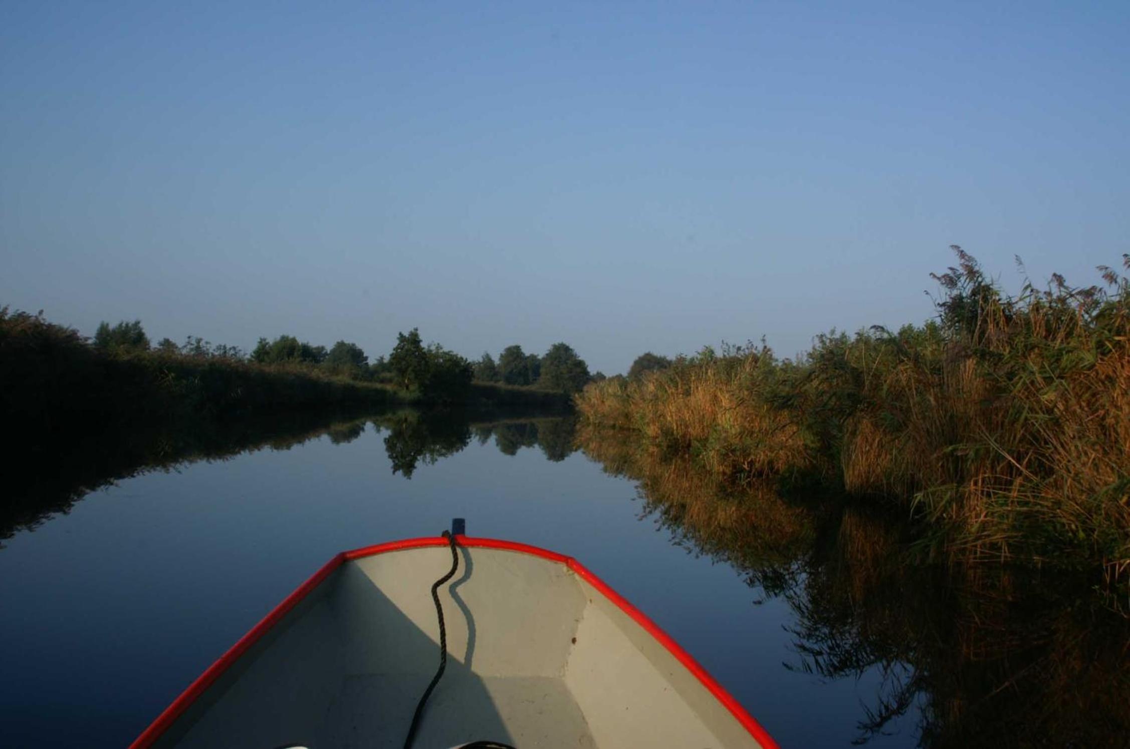 Photo 47