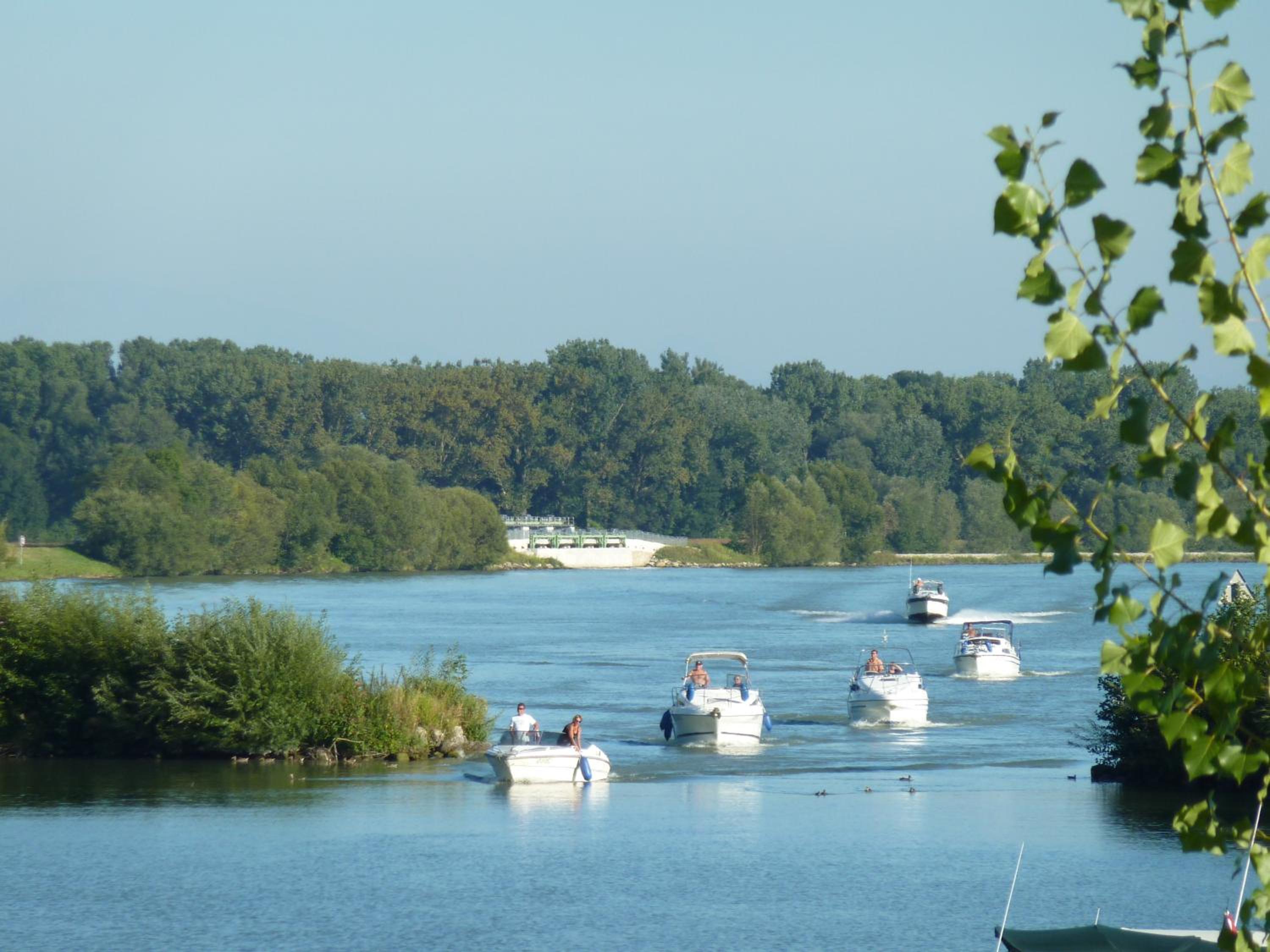Camping & Pension Au an der Donau