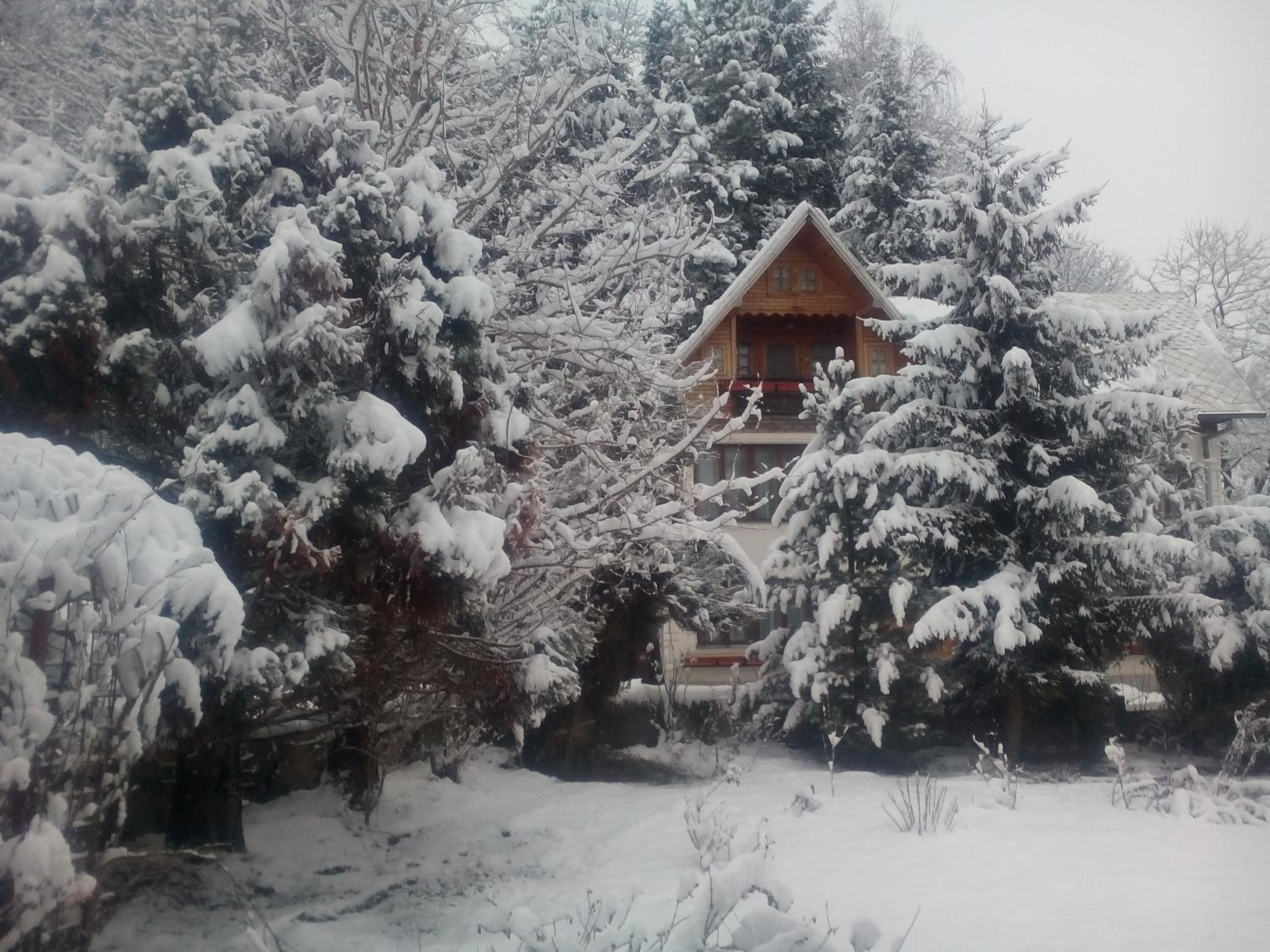Pensiunea Paradis