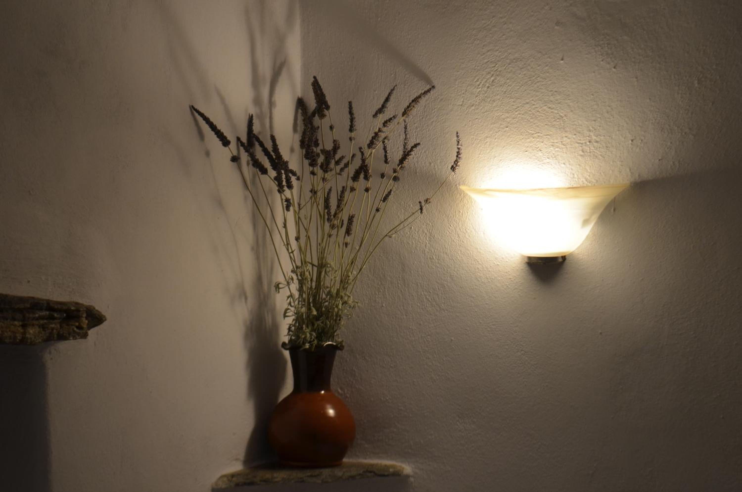 Photo 52