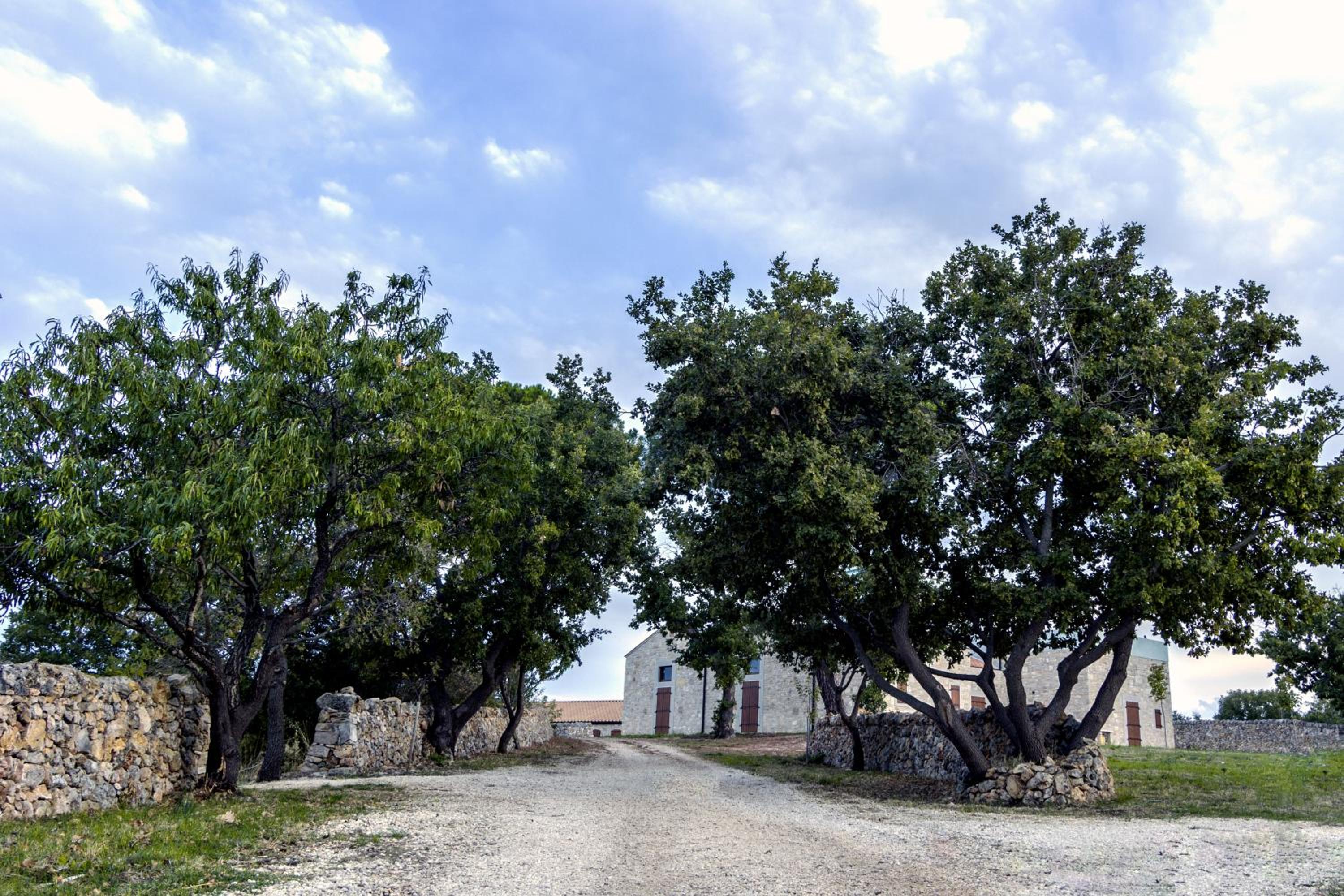 Tenuta Tedone Consolini