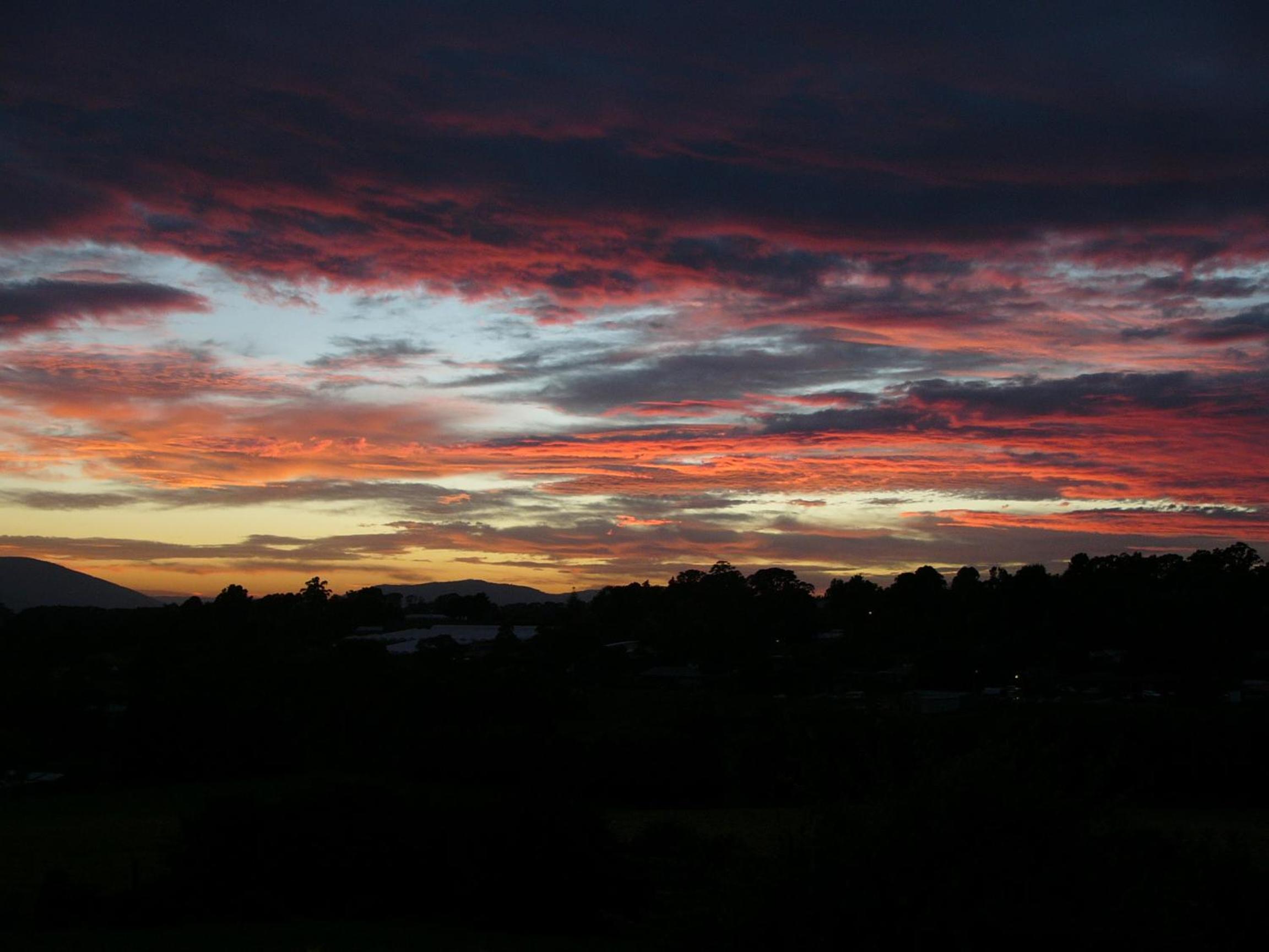 Eagle's View Cottage - Yarra Valley