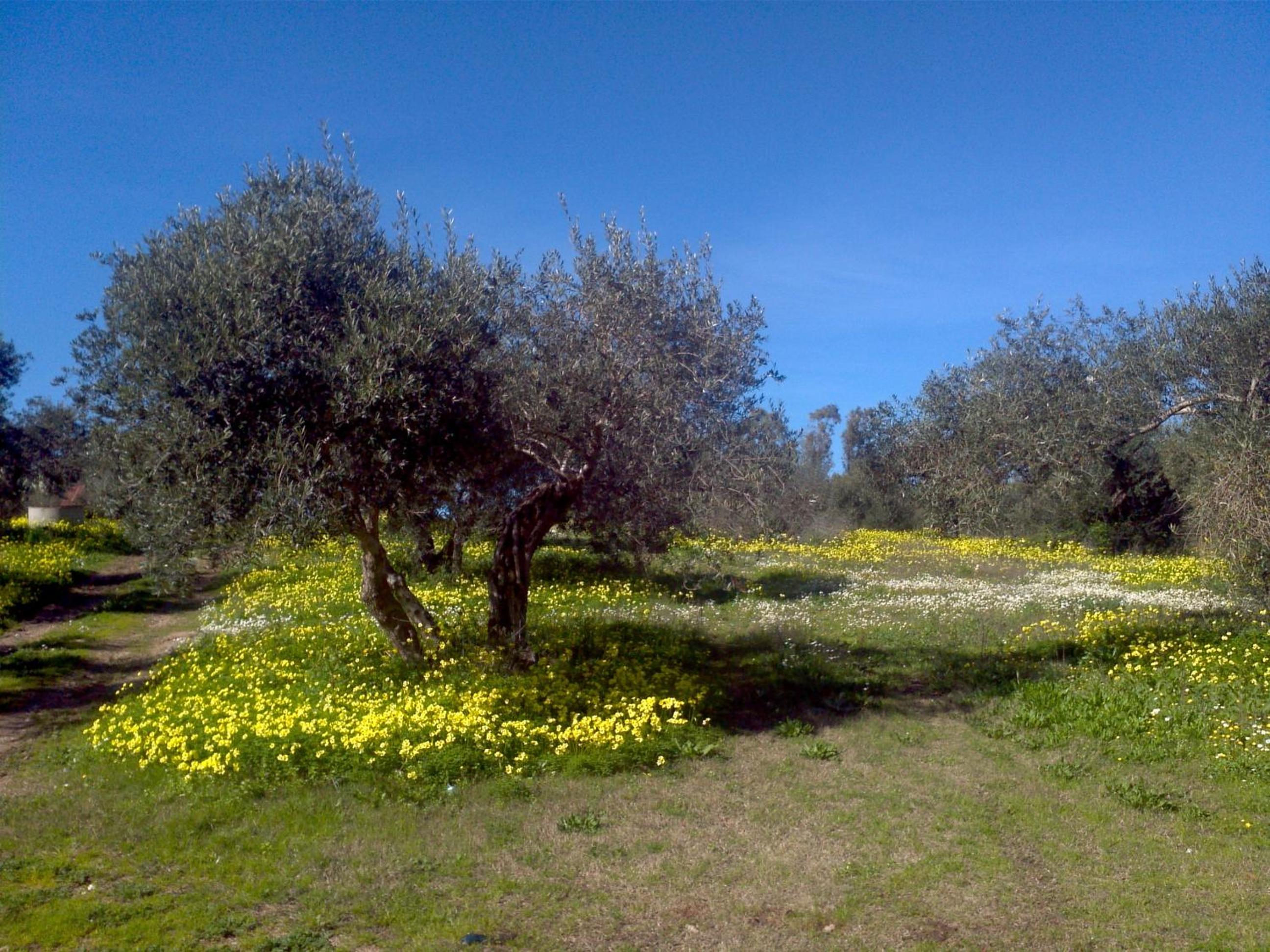 Su Livariu view 4