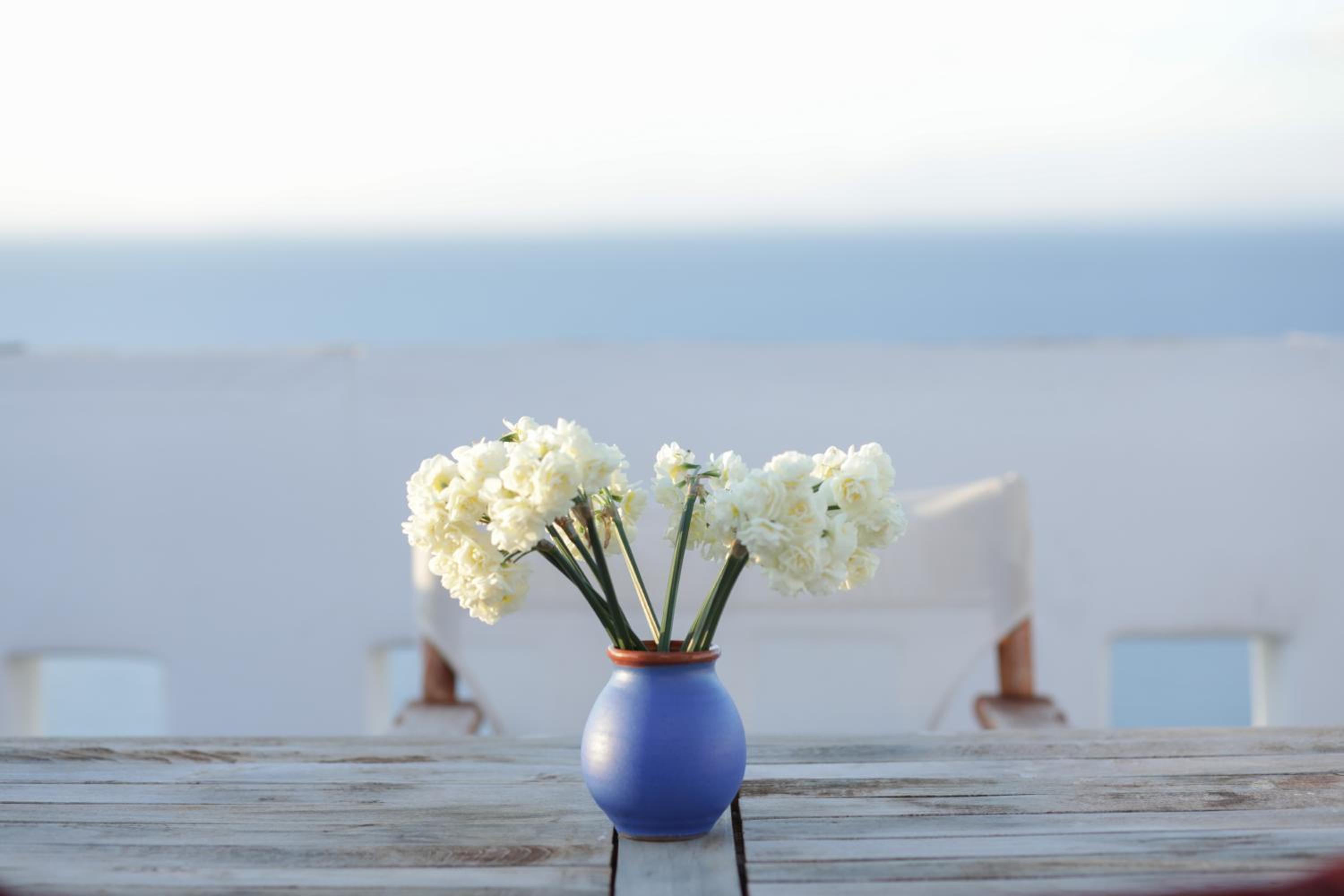 Villa Athina