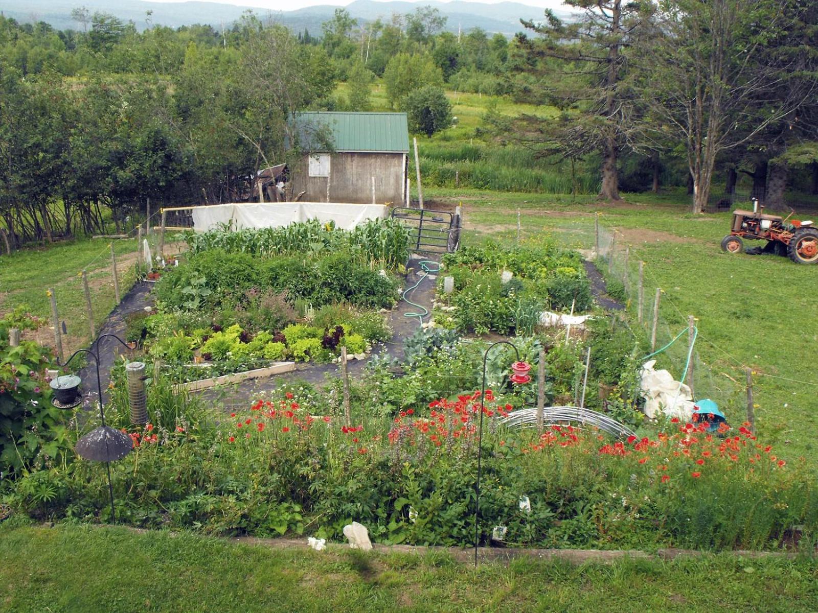 Photo 46