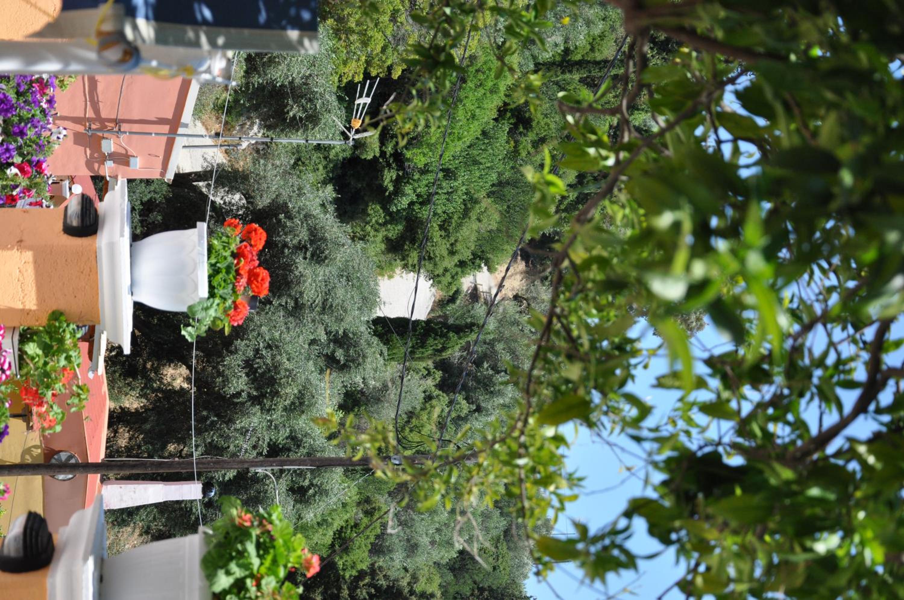 Ponte Rossa Apartments photo 4
