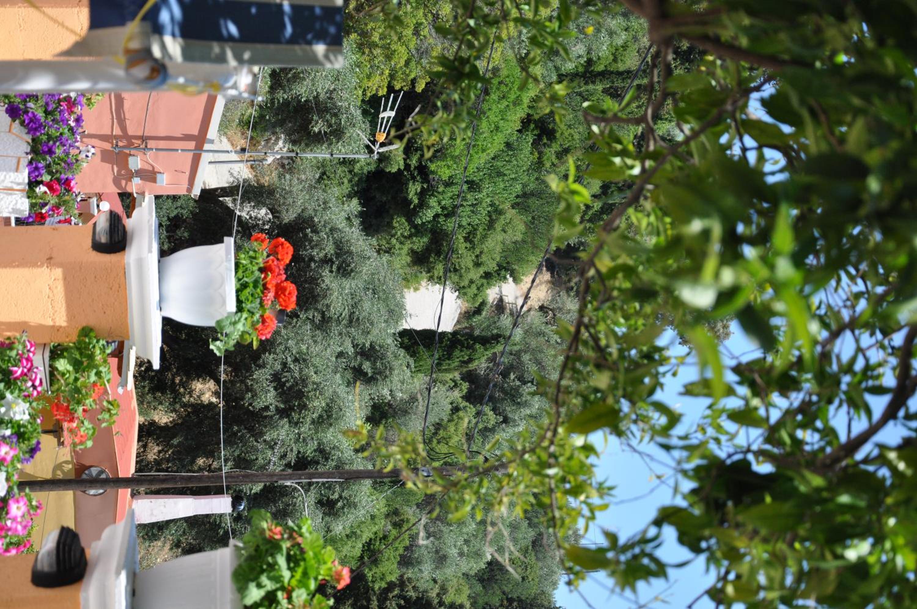 Ponte Rossa Apartments photo 5