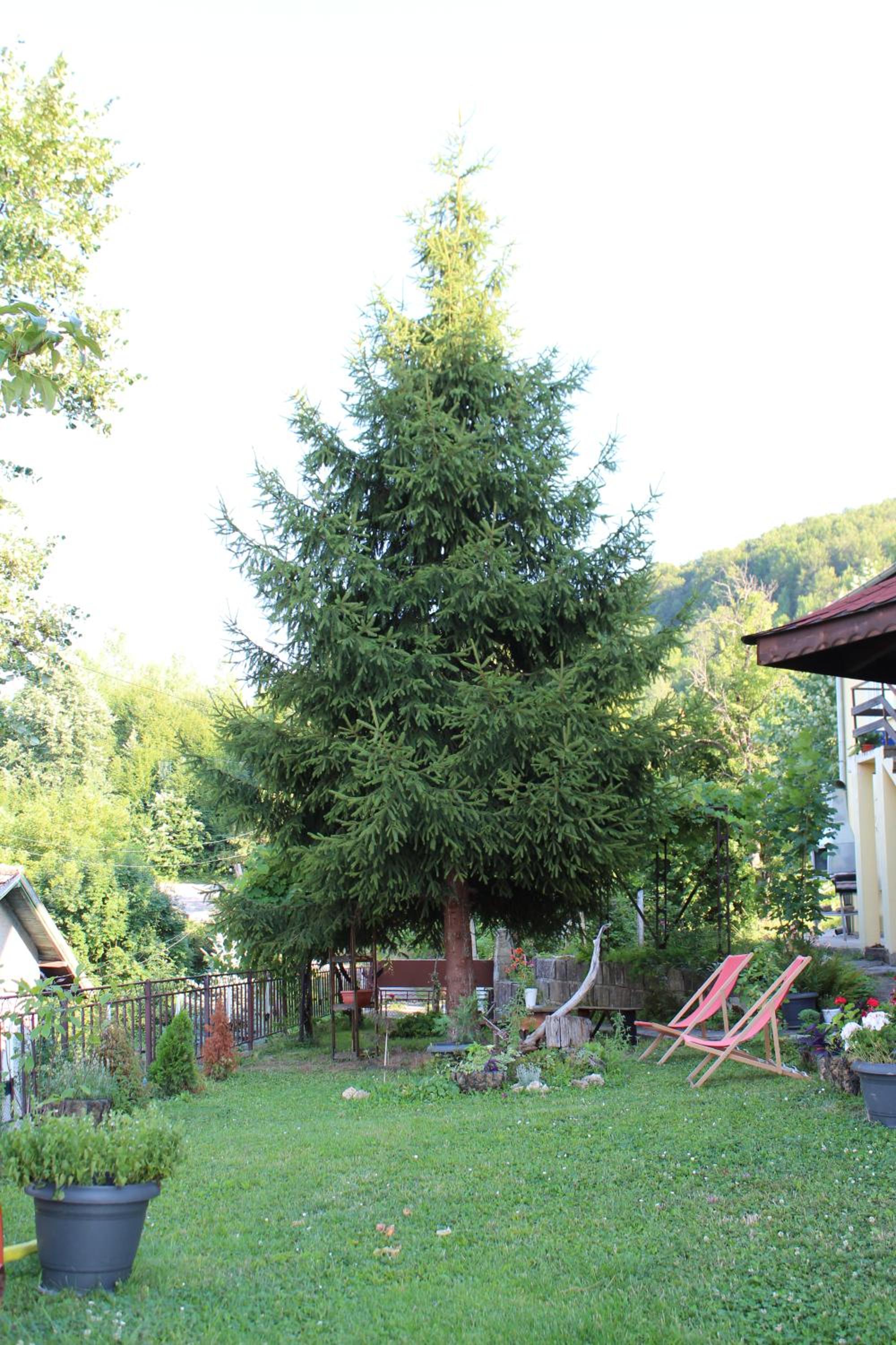 Guest House Daskalov