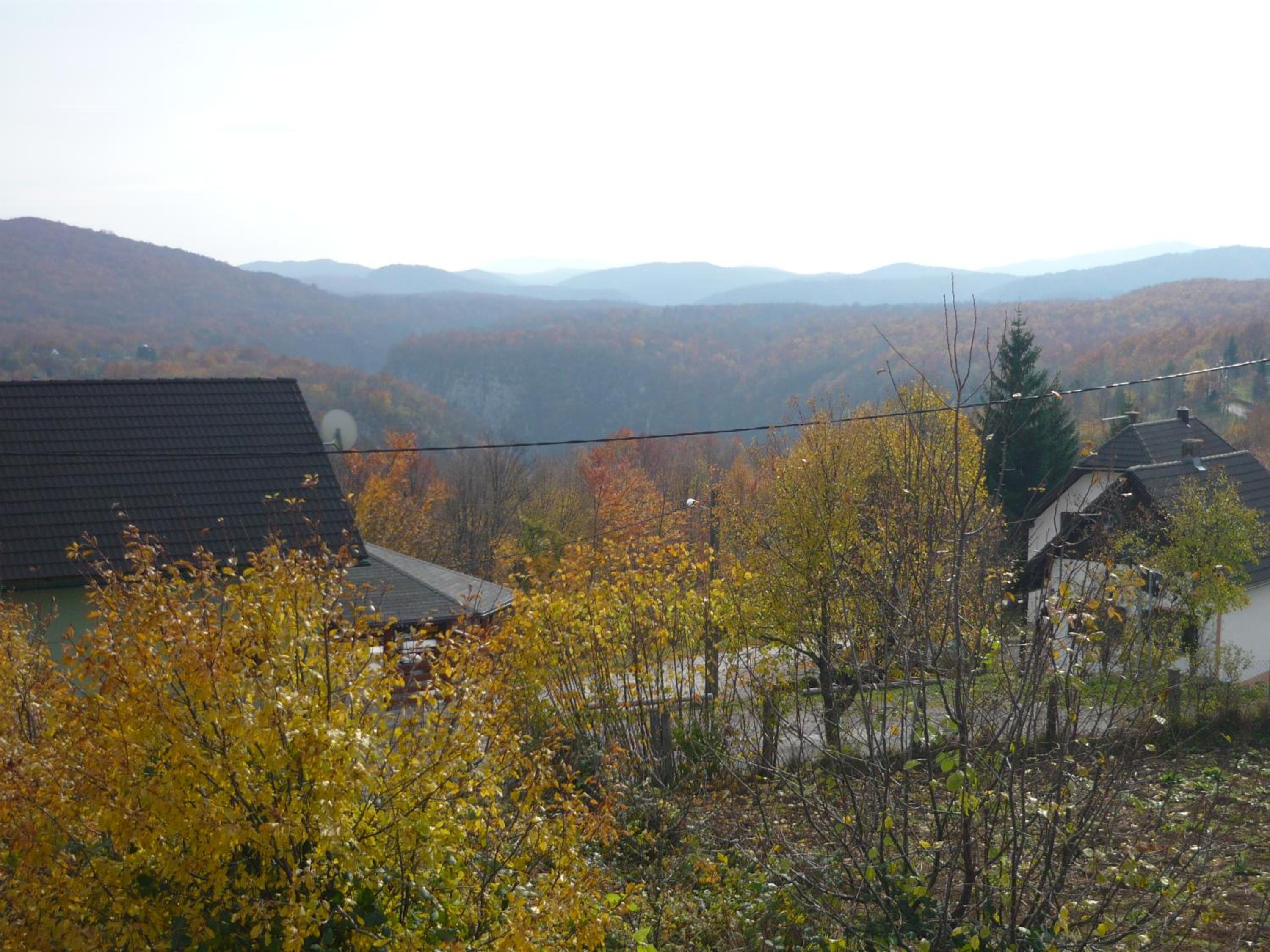 Photo 49