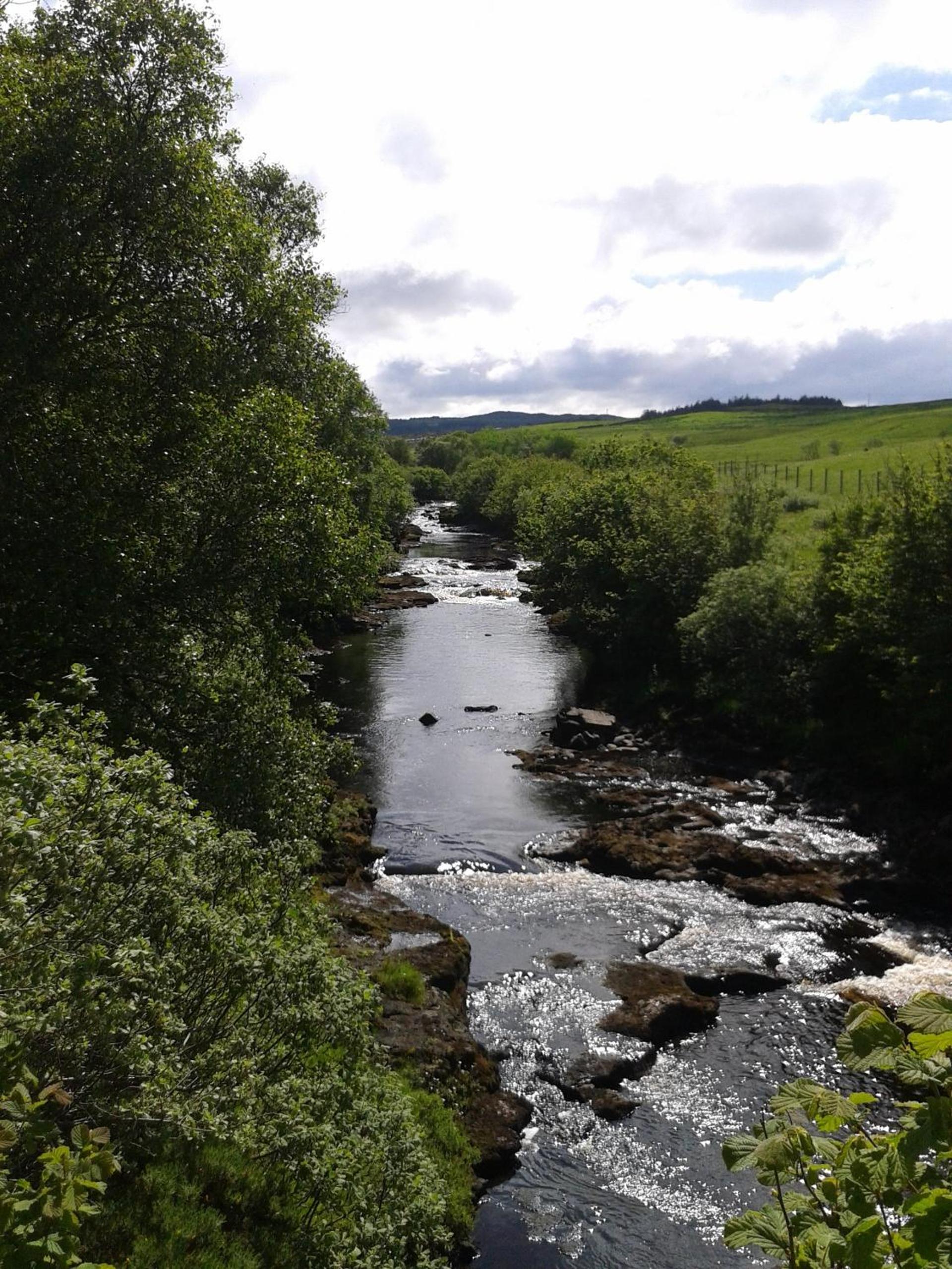 Photo 42