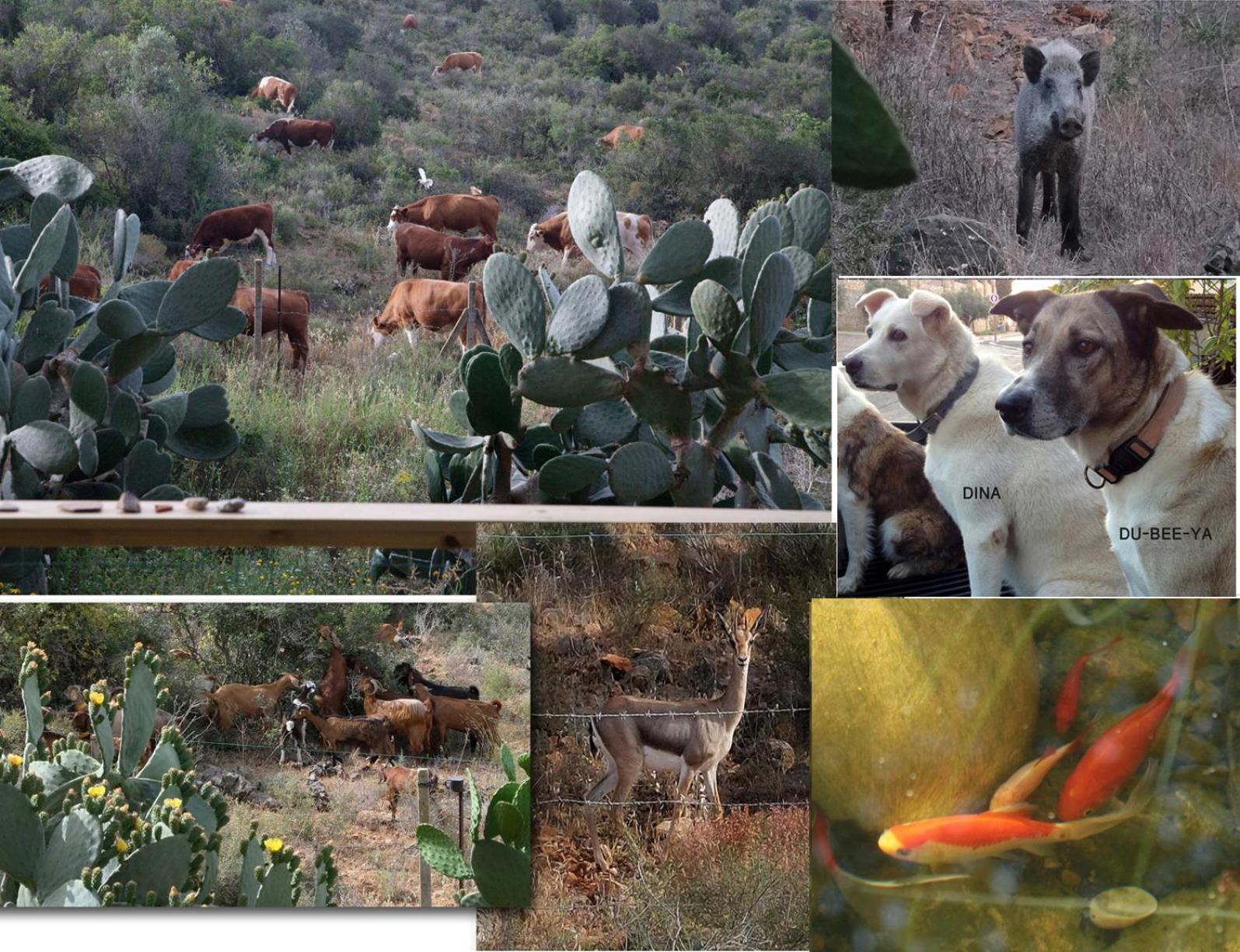 Natural Reserve Apartment