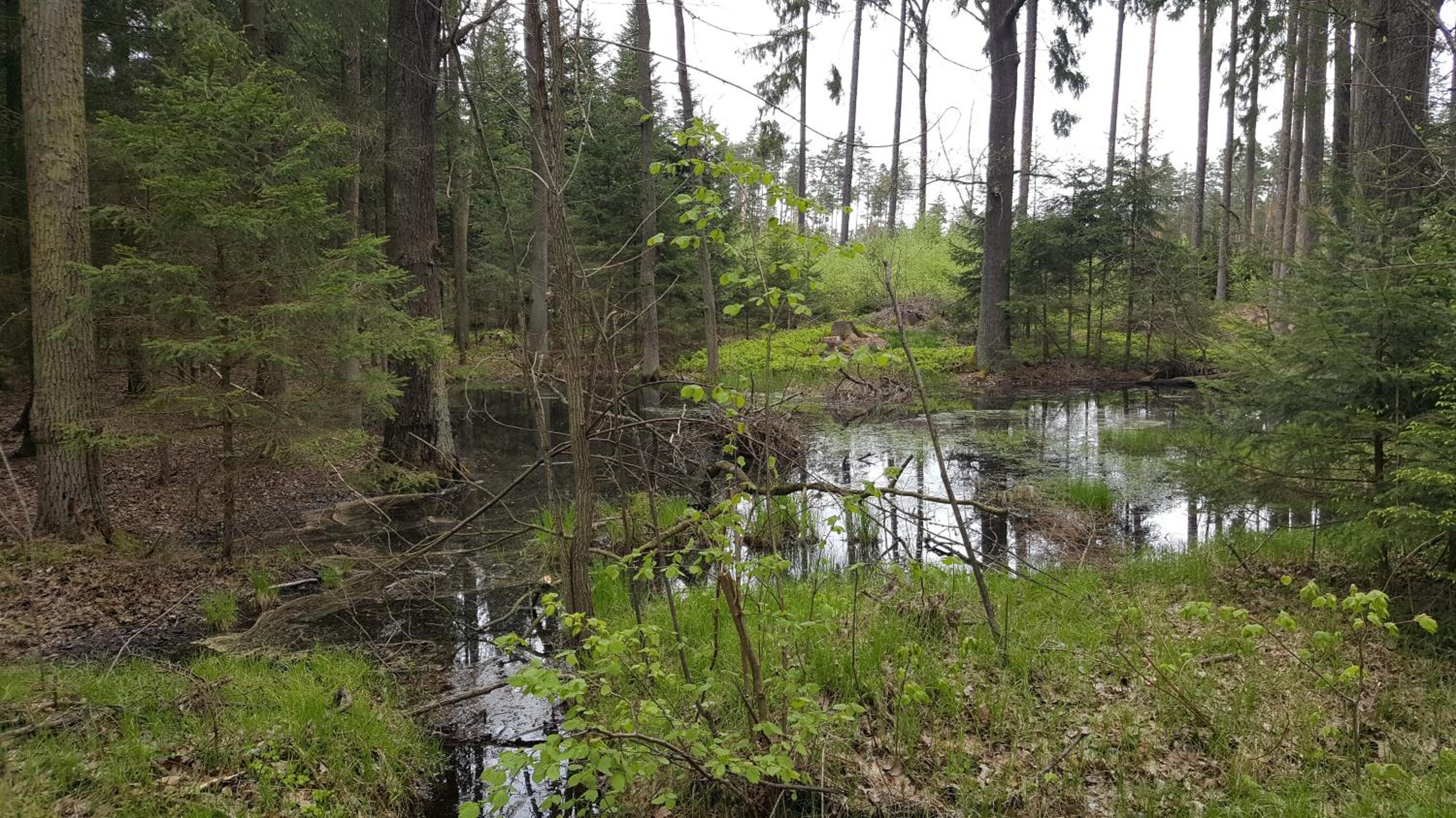 U Rožmberka Třeboňsko