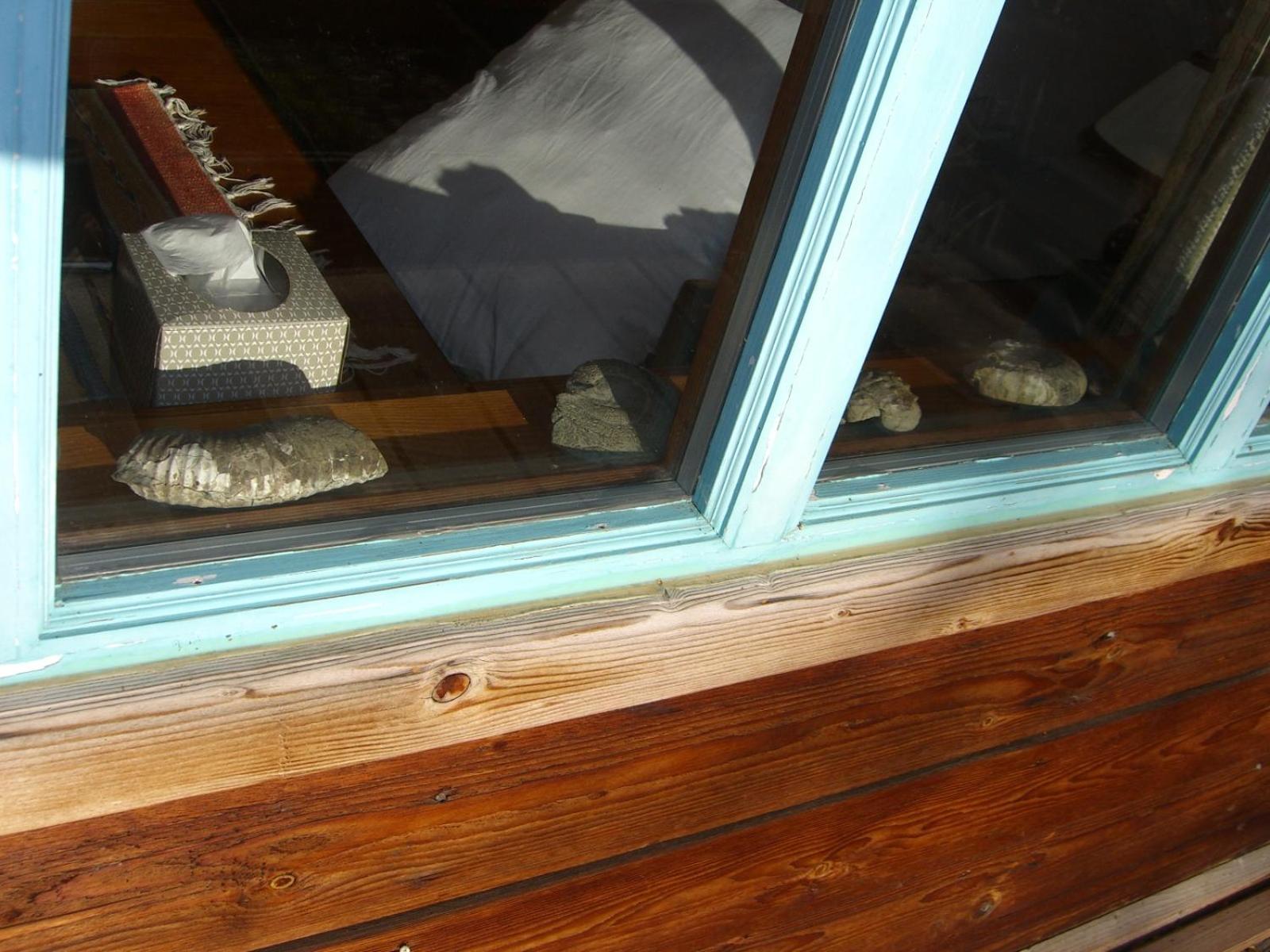 Homer Vacations - Brigitte's Bavarian Bed und Breakfast - Property Image 42