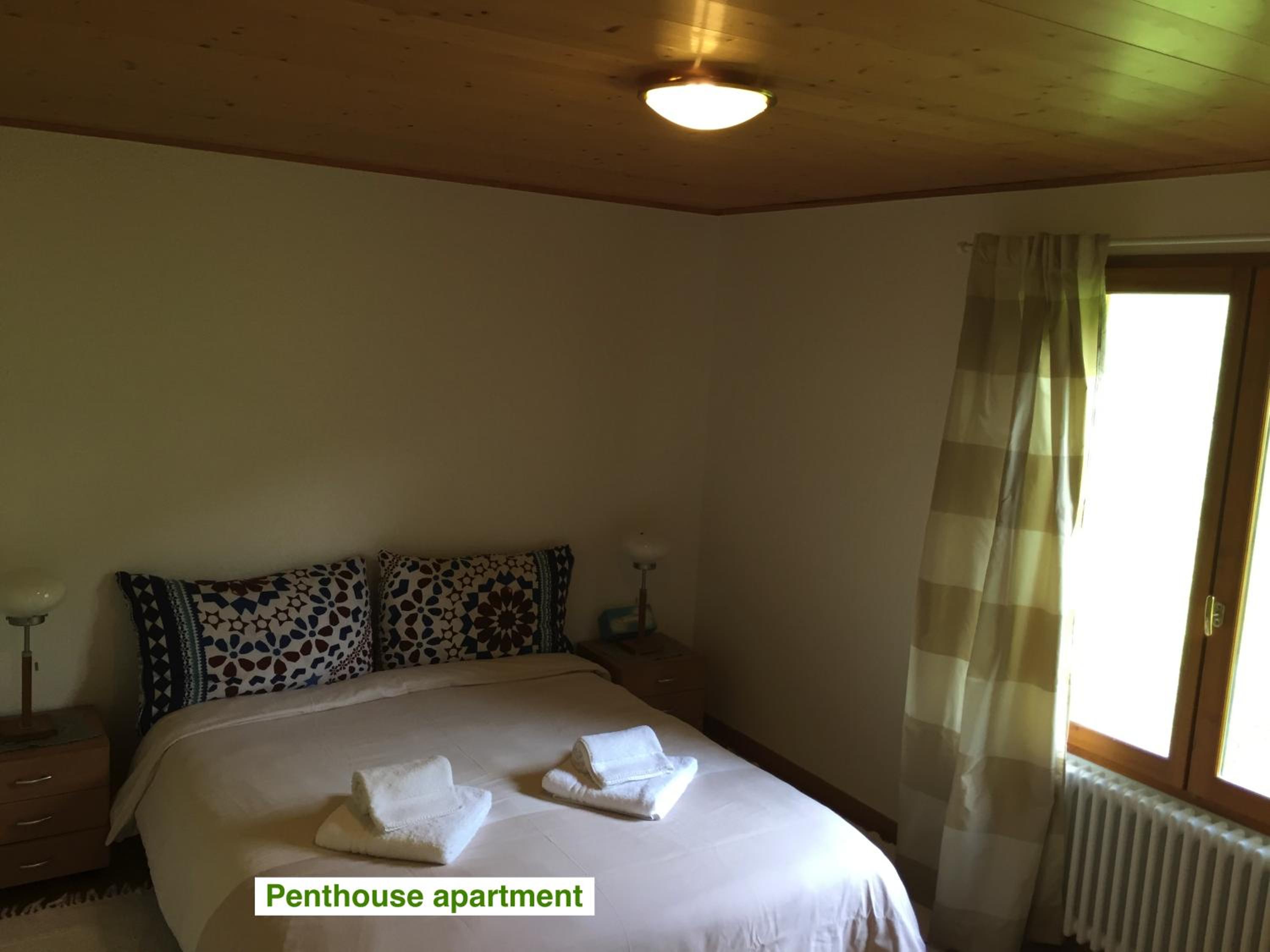 Le Green Chalet view 5