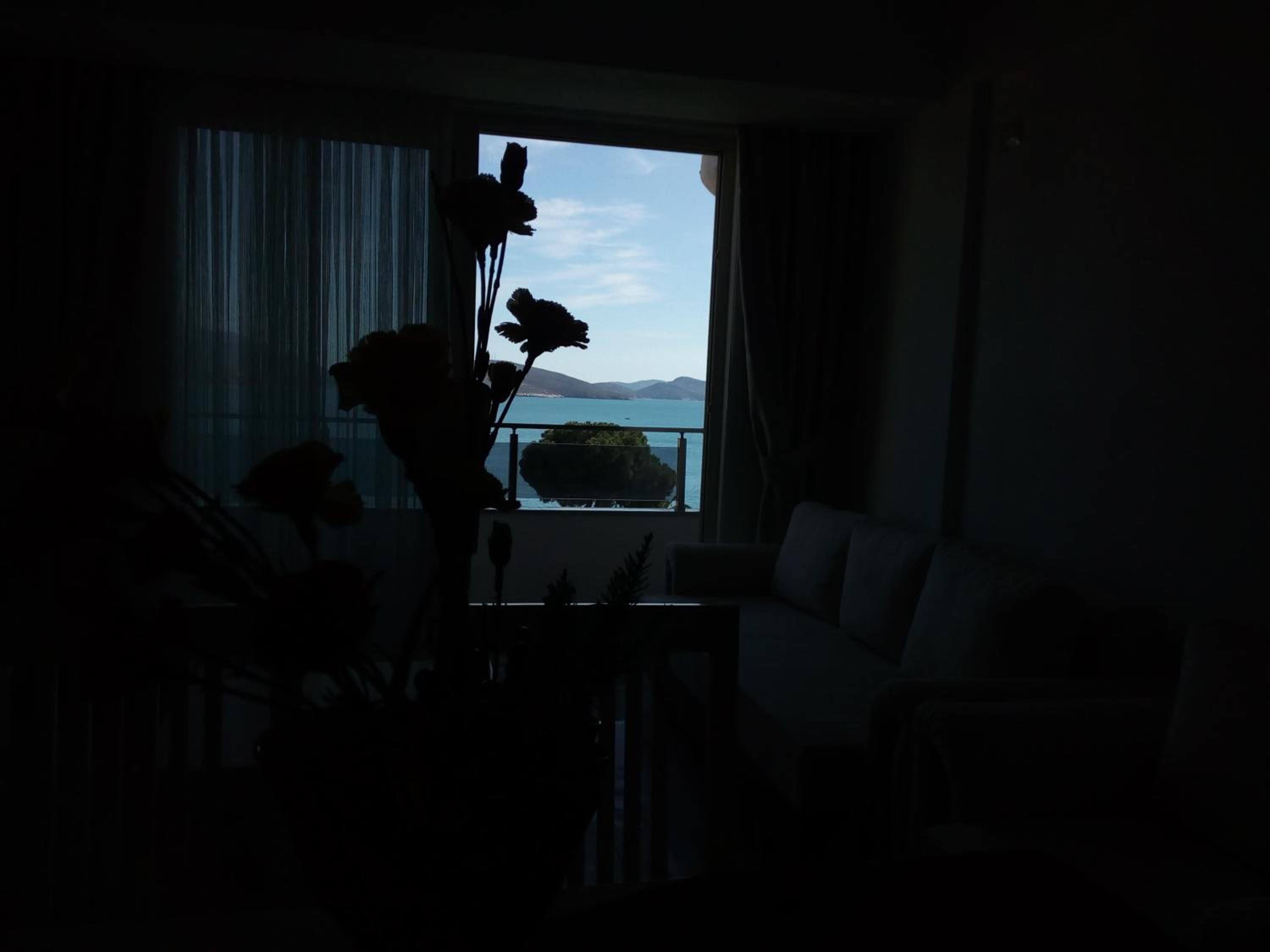 Delfin Apartments