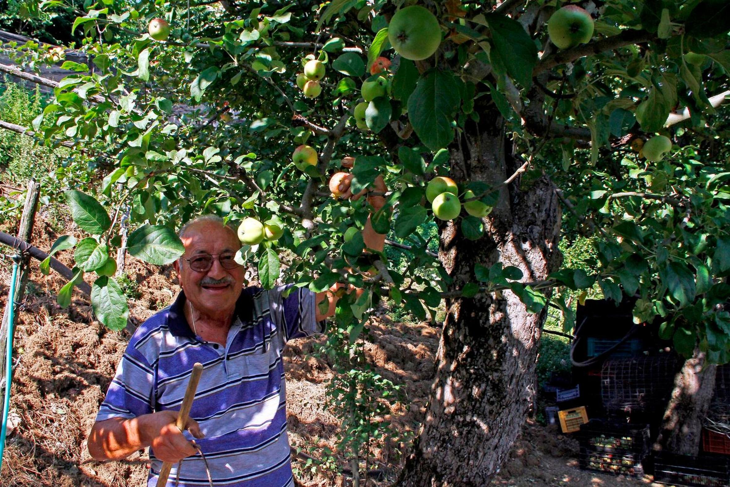 Agriturismo Nonno Tobia