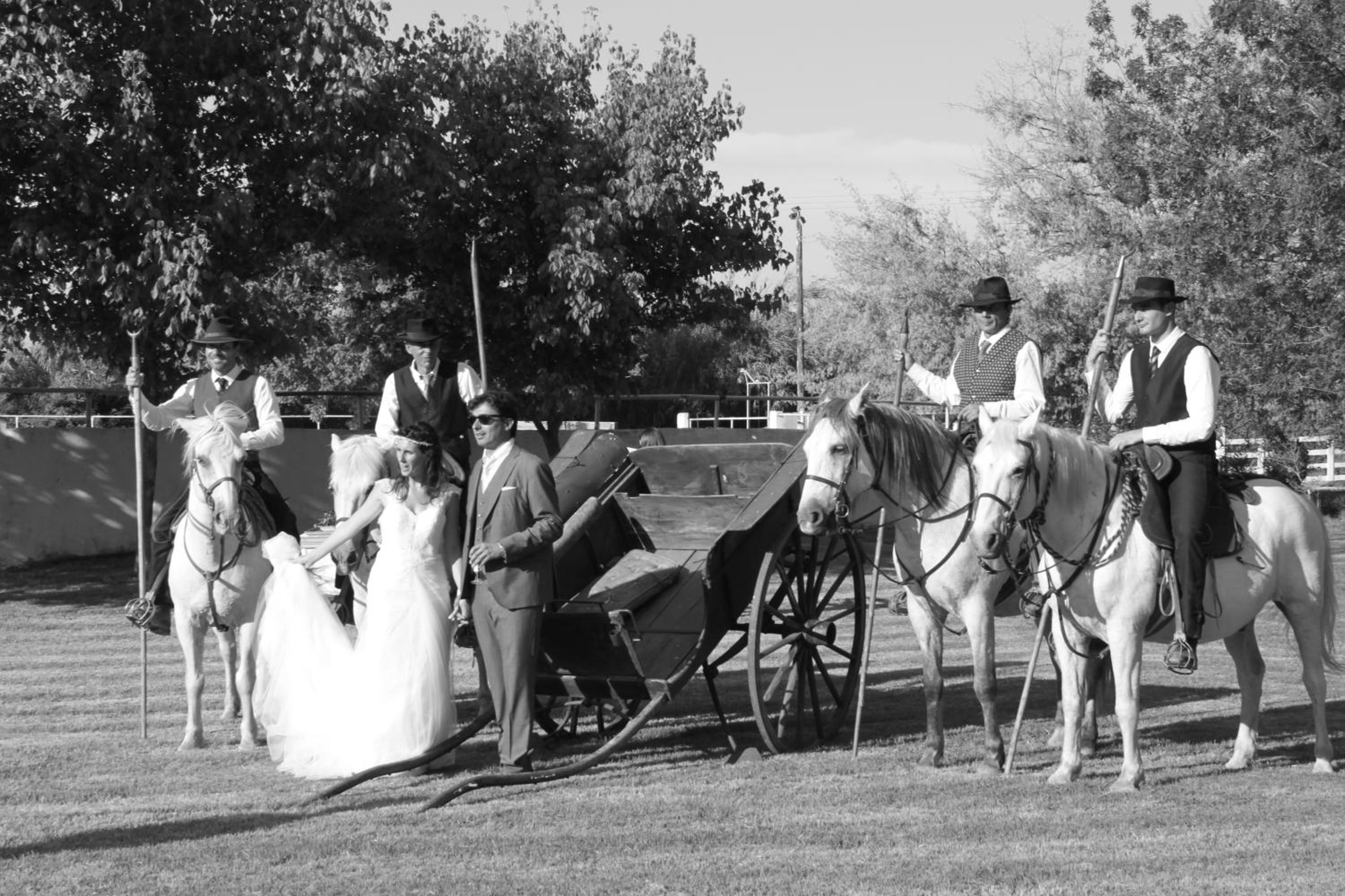 Mas du Menage en Camargue Manade Clauzel photo 5