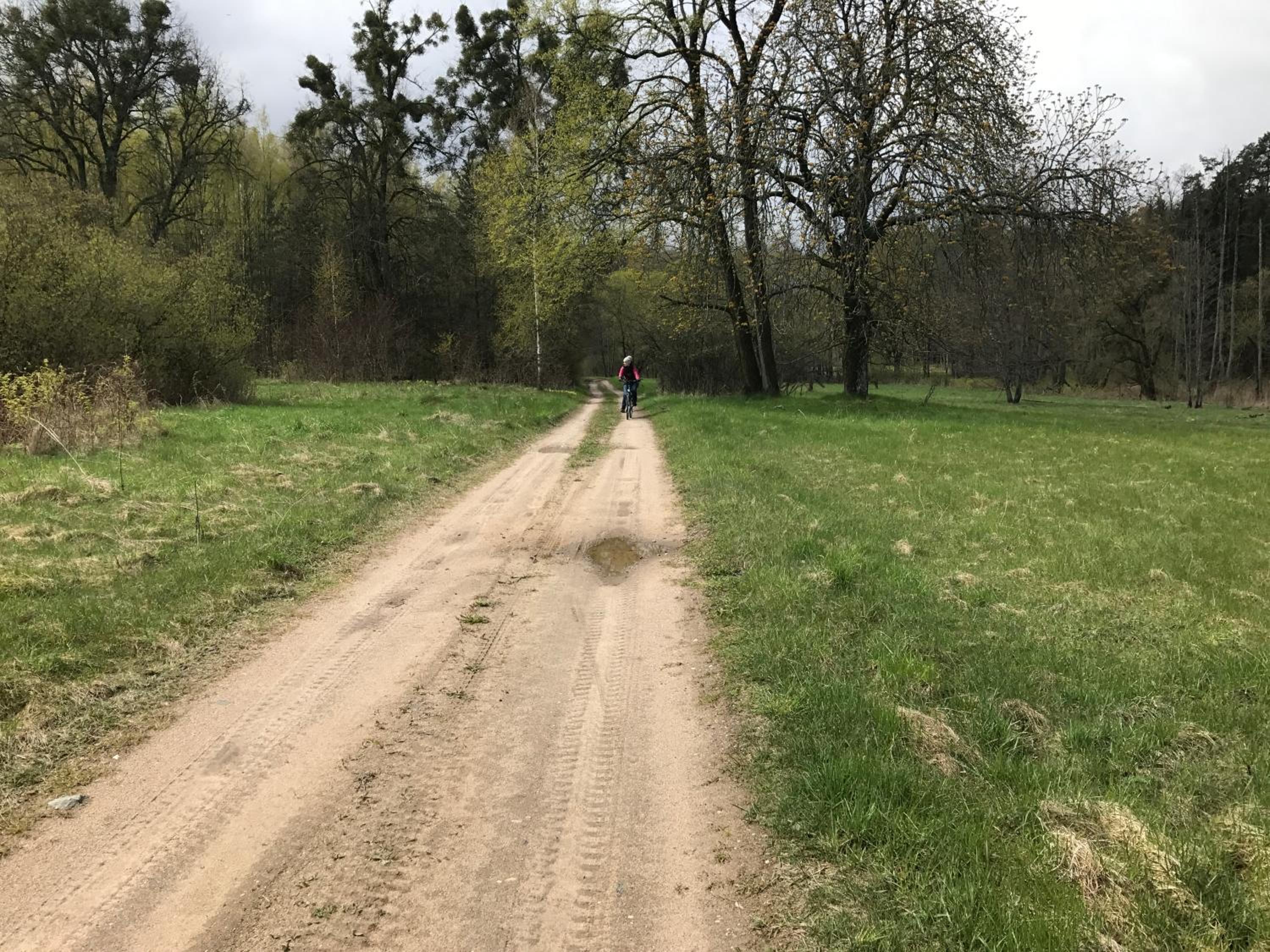 Photo 20