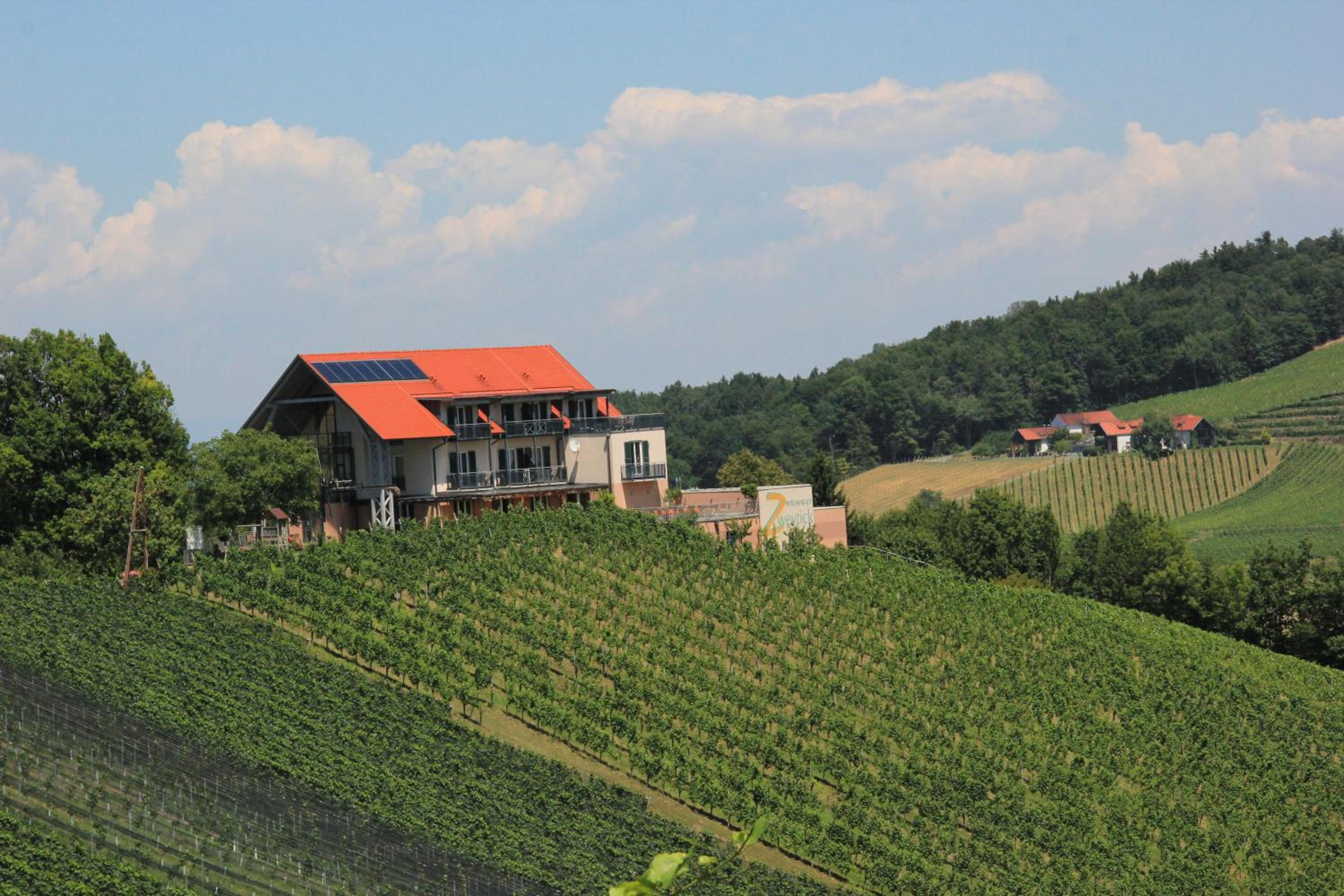 Zweytick Gästezimmer Weingut