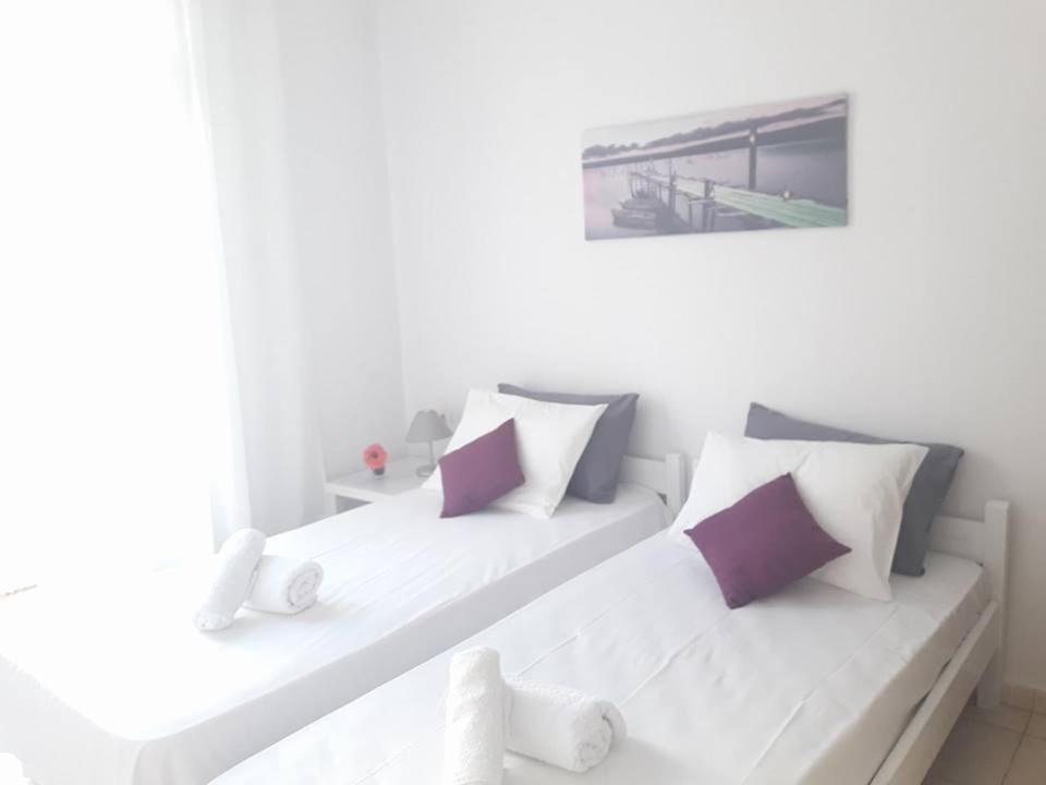 Beautiful City Center Flat