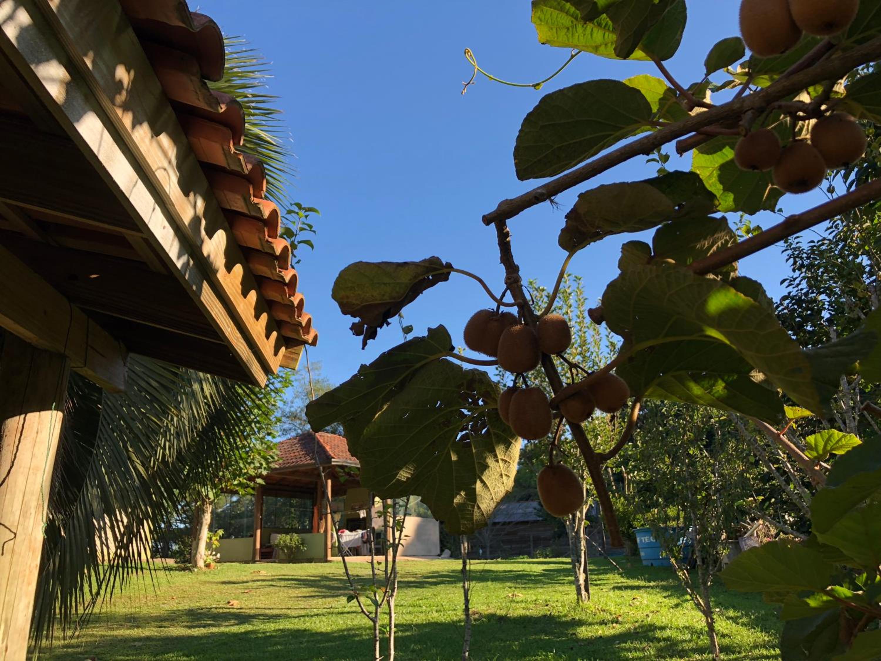 Cabanas Brocker