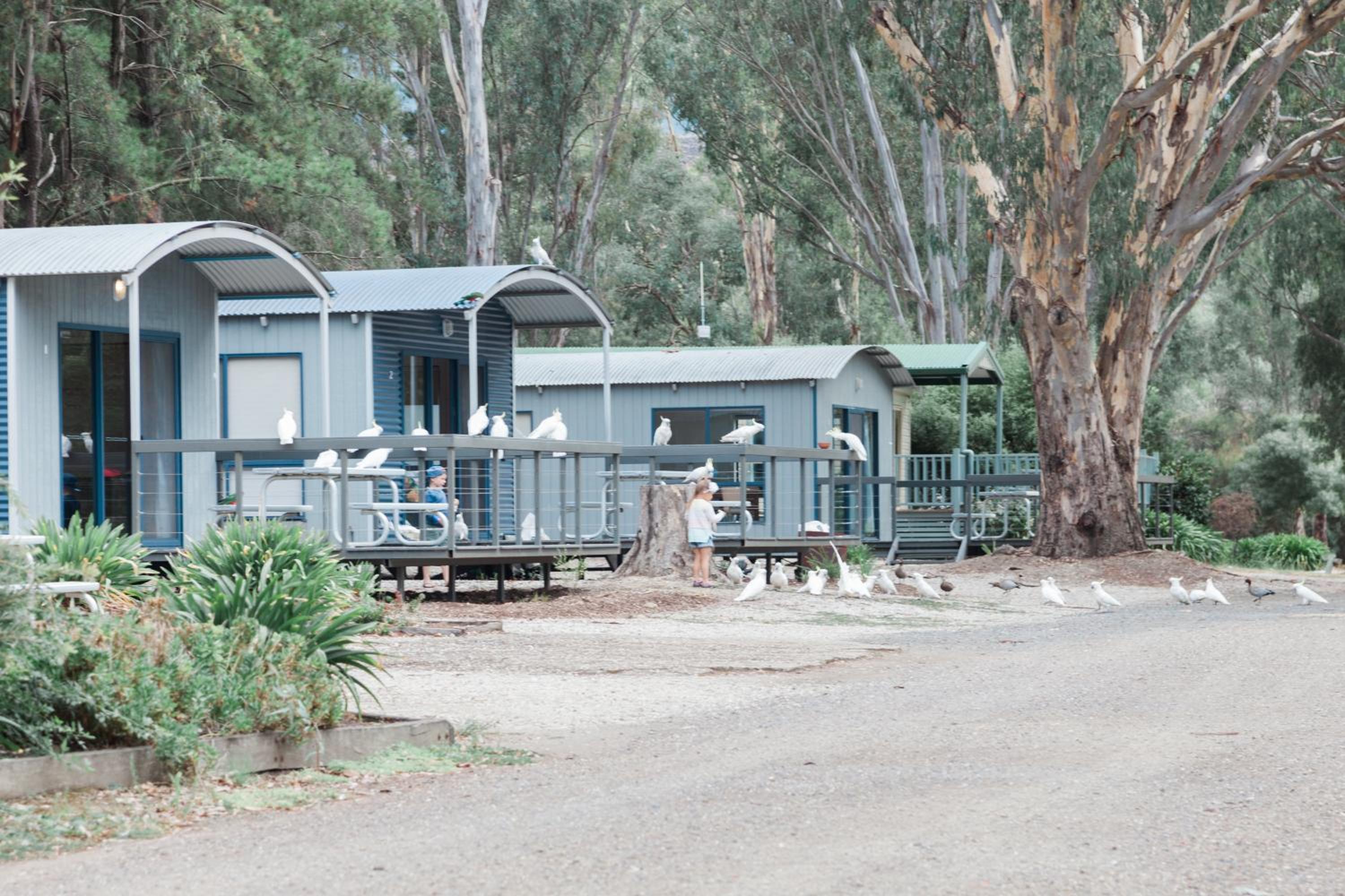 Eildon Pondage Holiday Park