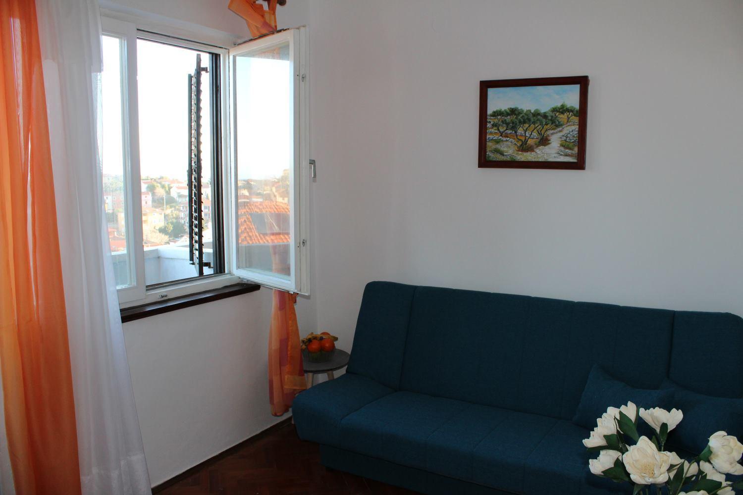 Apartment Muzic view 5