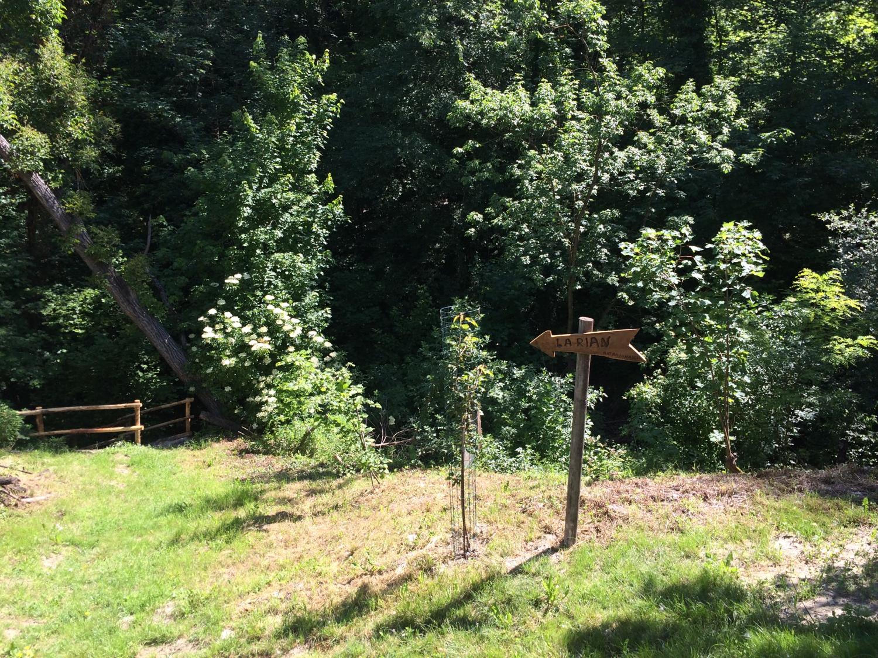 Photo 6