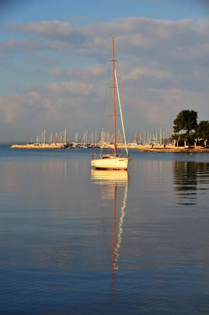 Photo 40