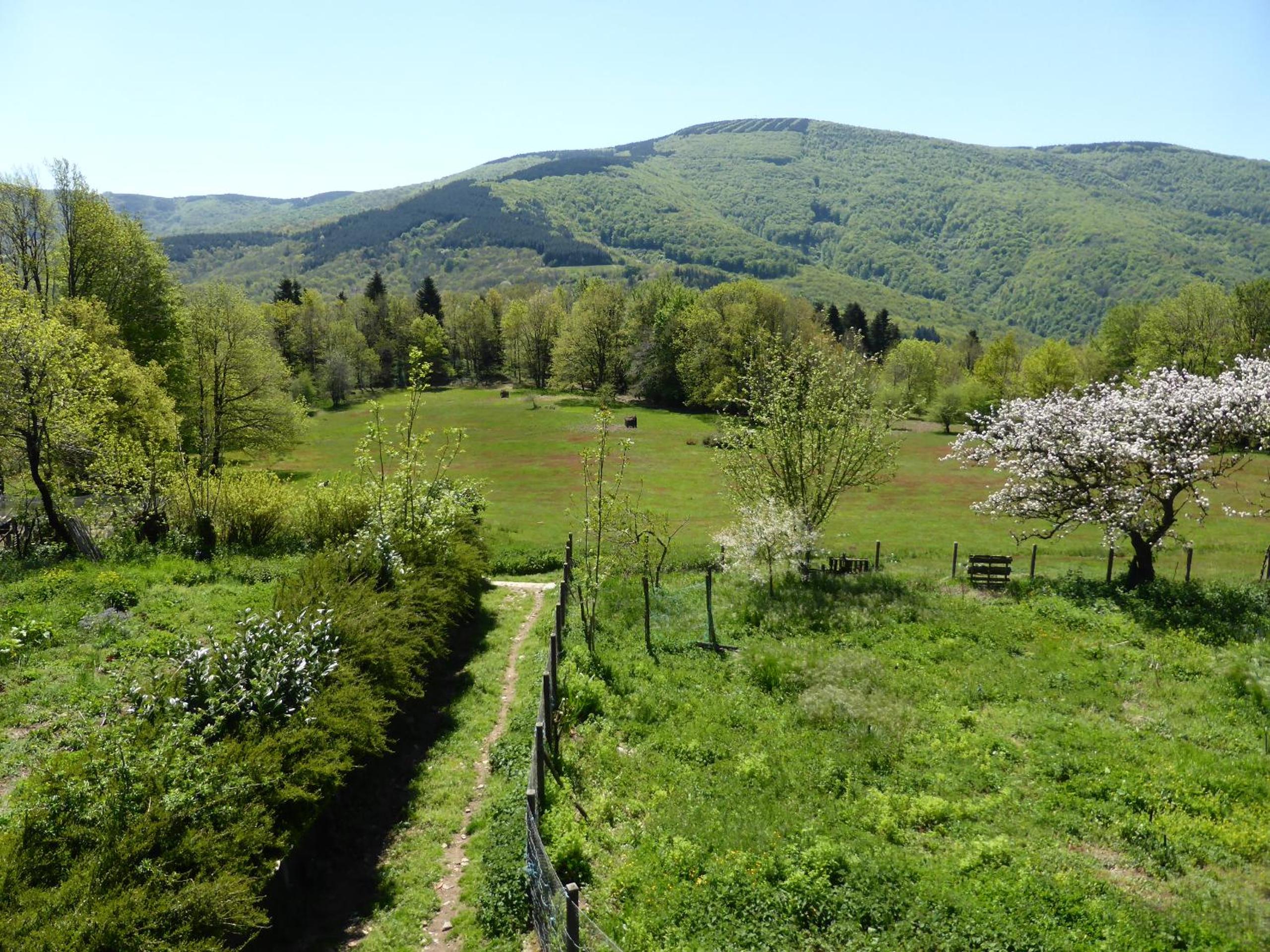 B and B Sycomore, La Bouriotte view 5