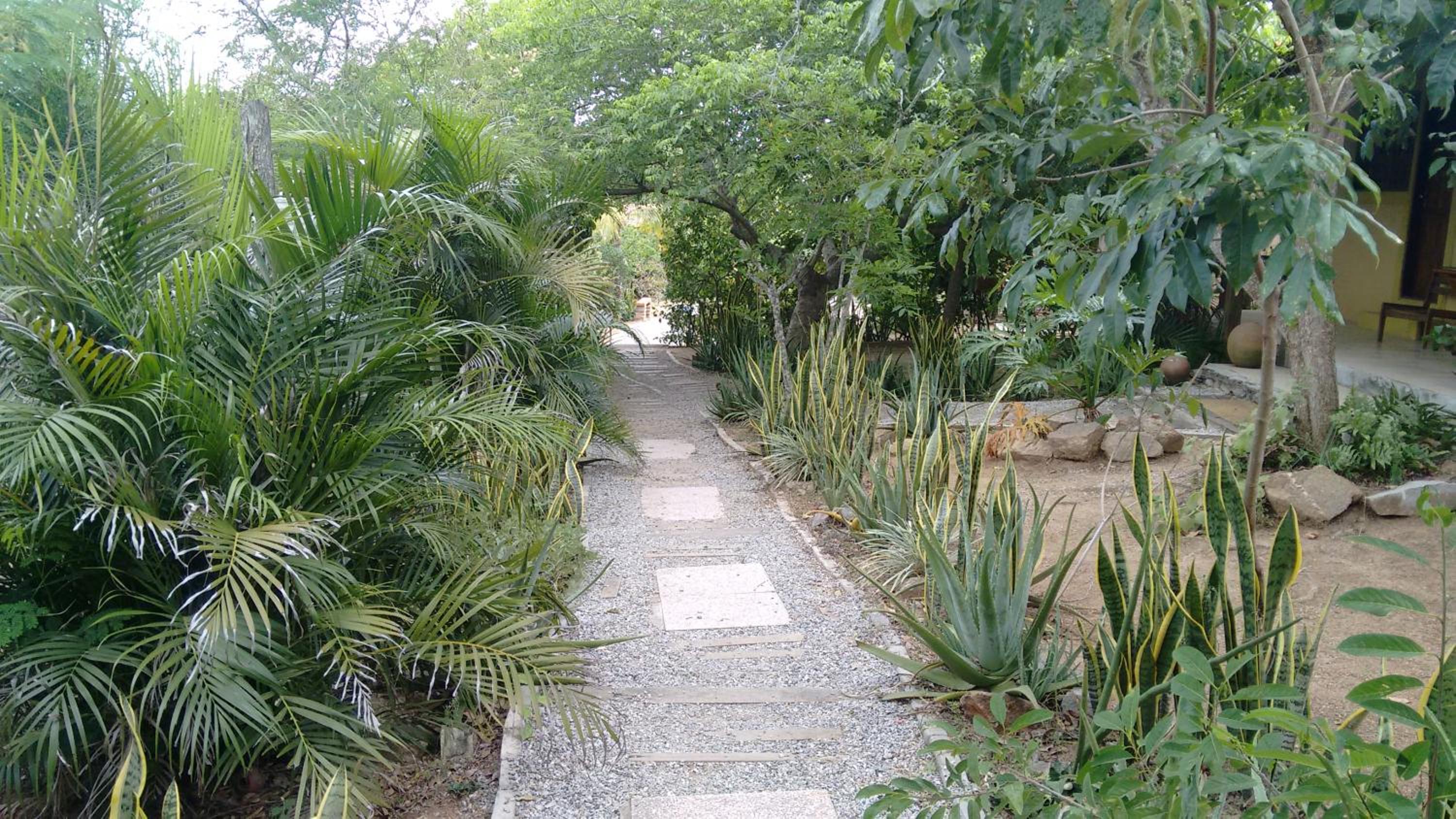 garden