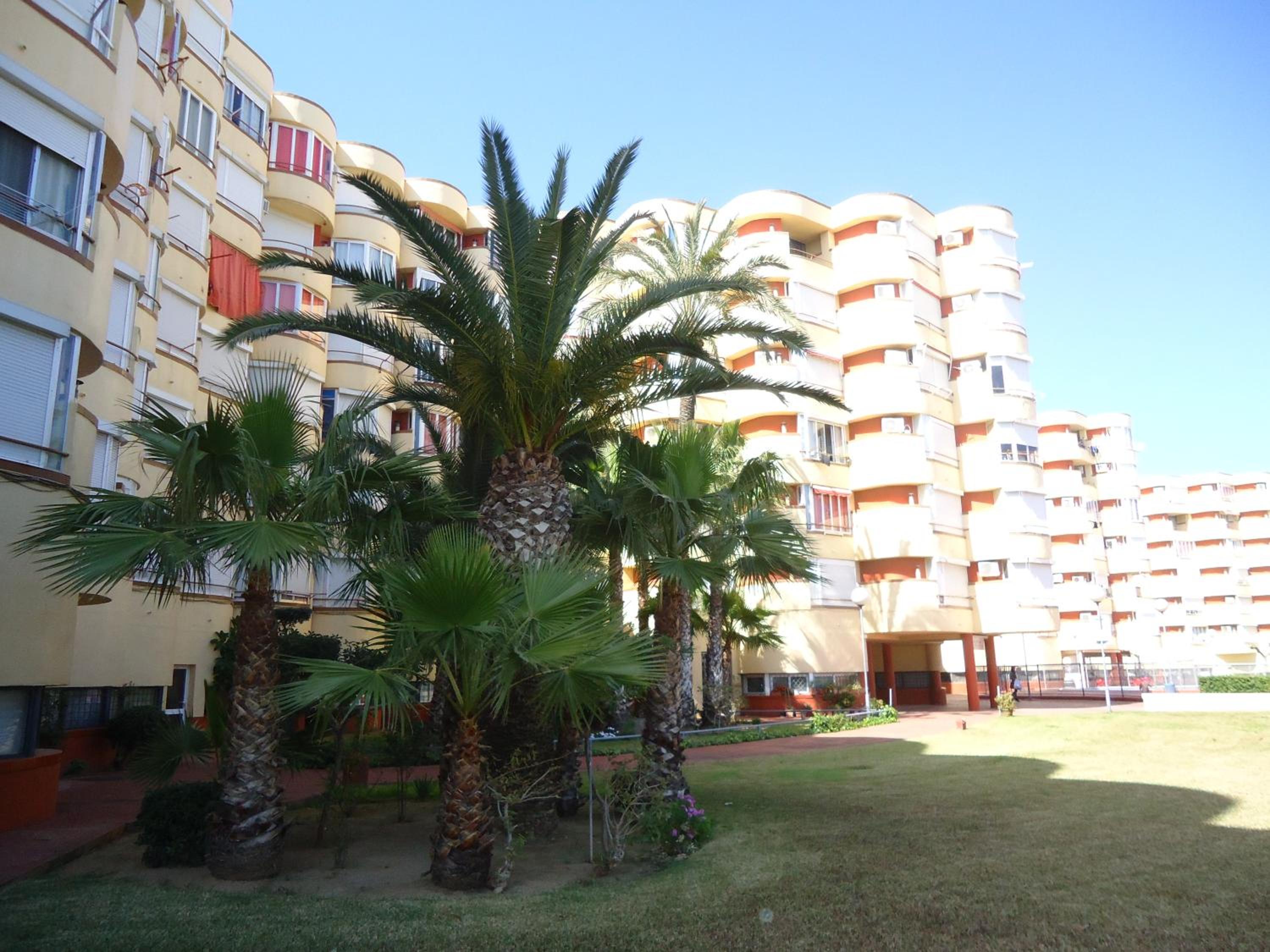 Promar La Pineda photo 1