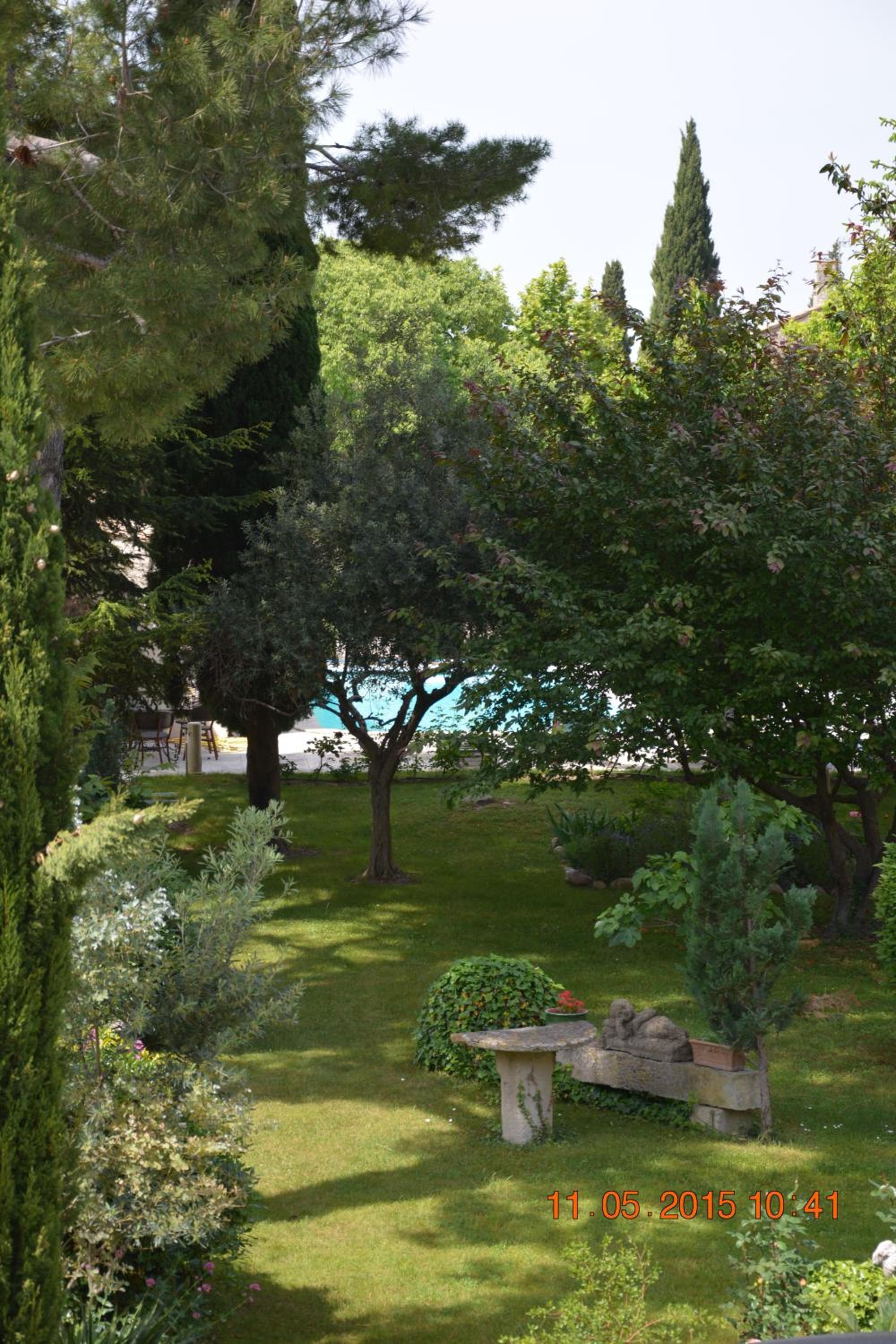 Photo 7