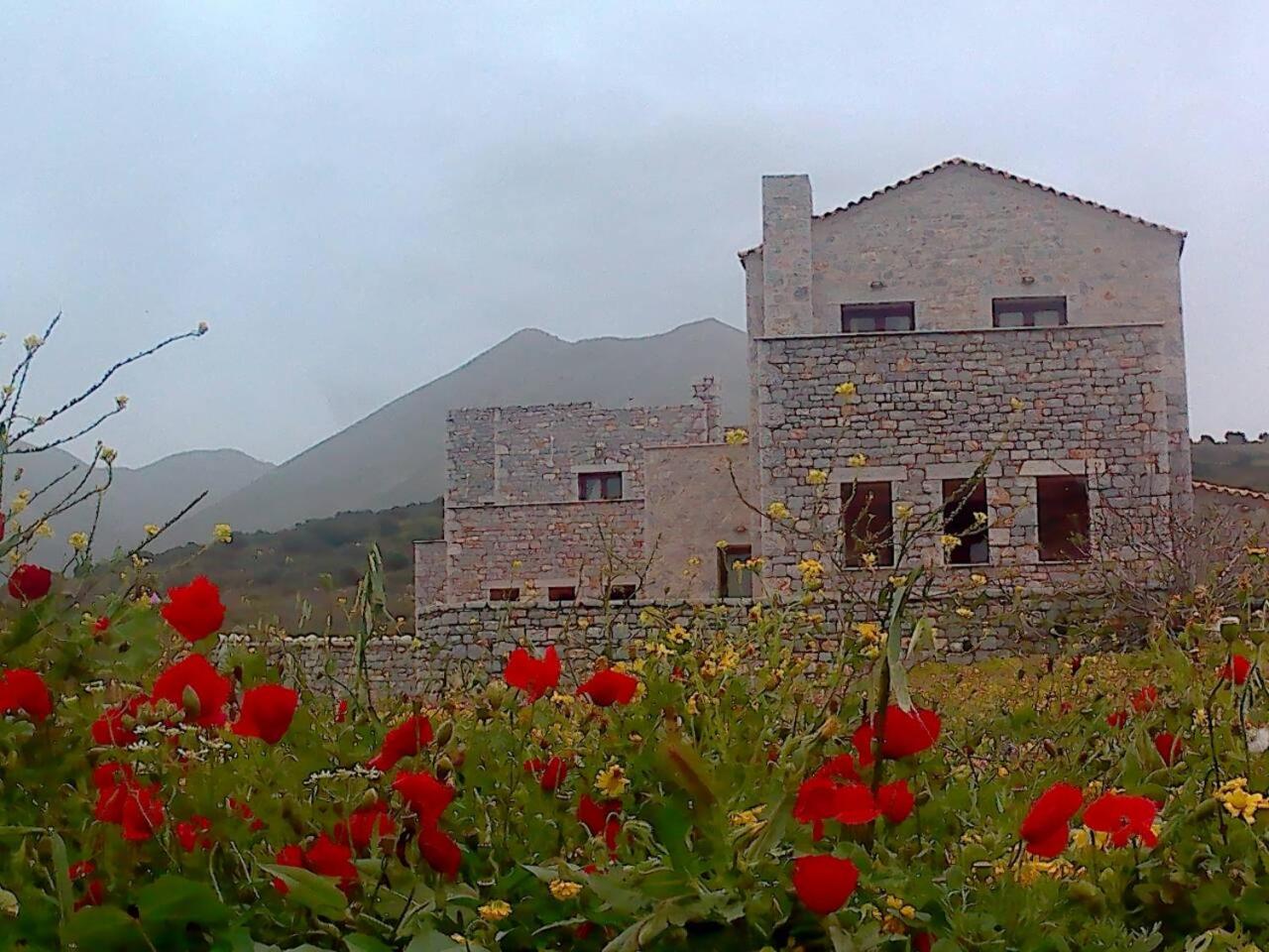 Photo 21