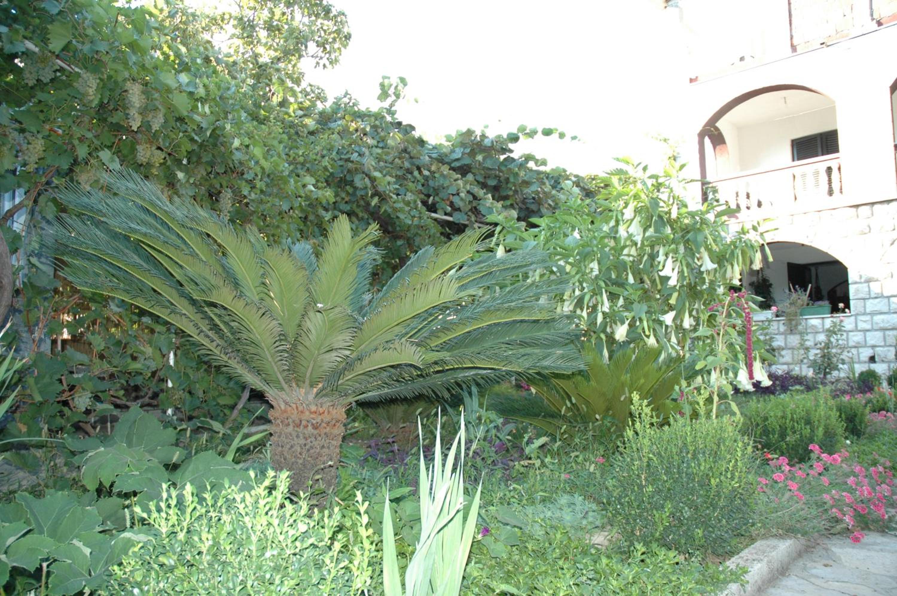 Photo 67