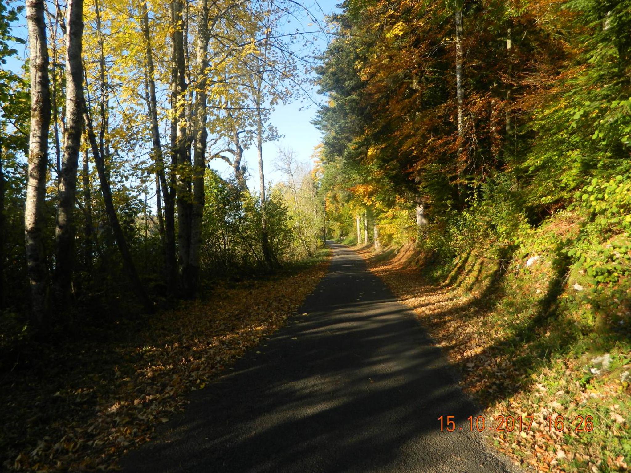 Photo 32