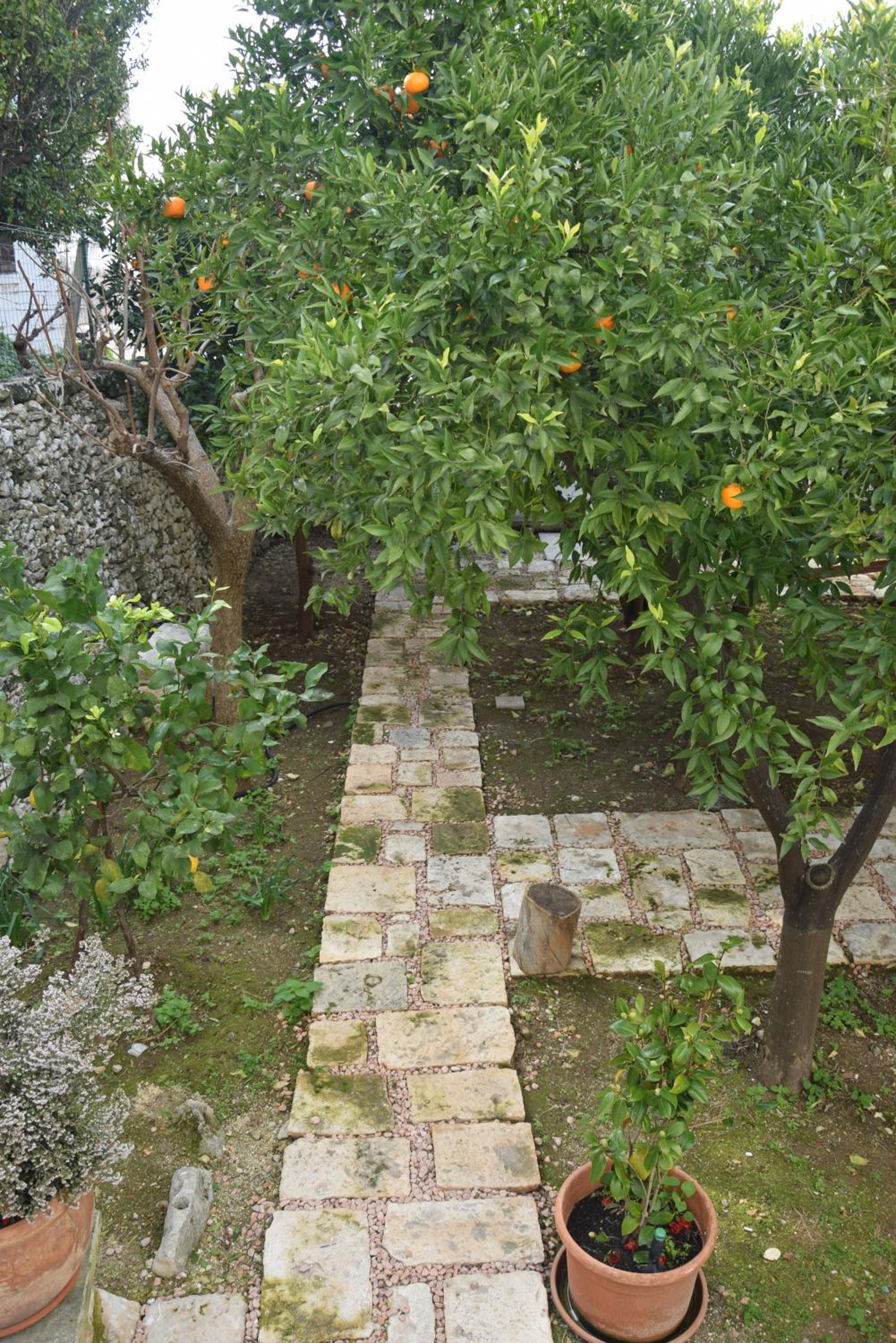 Photo 39