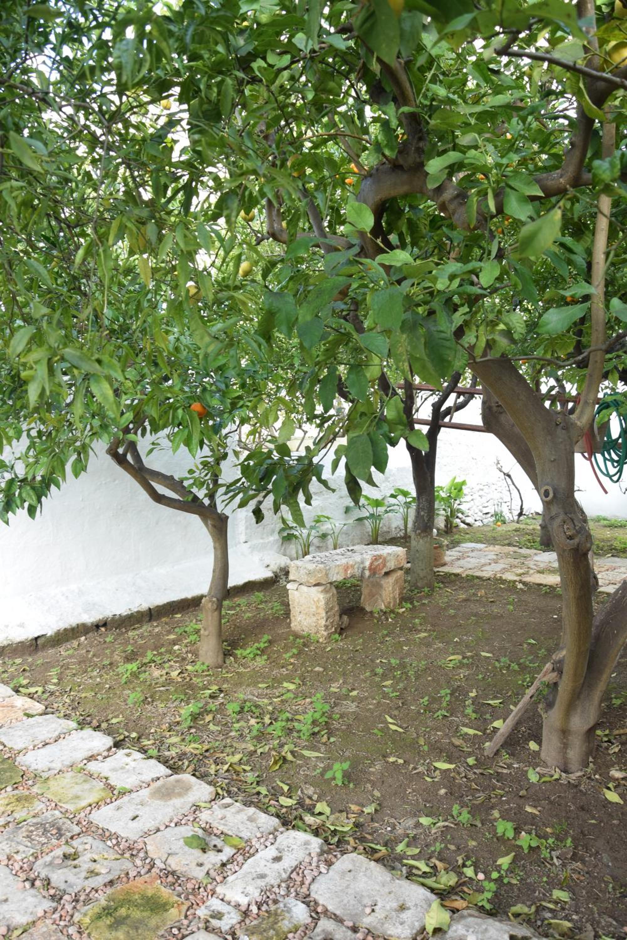 Photo 41