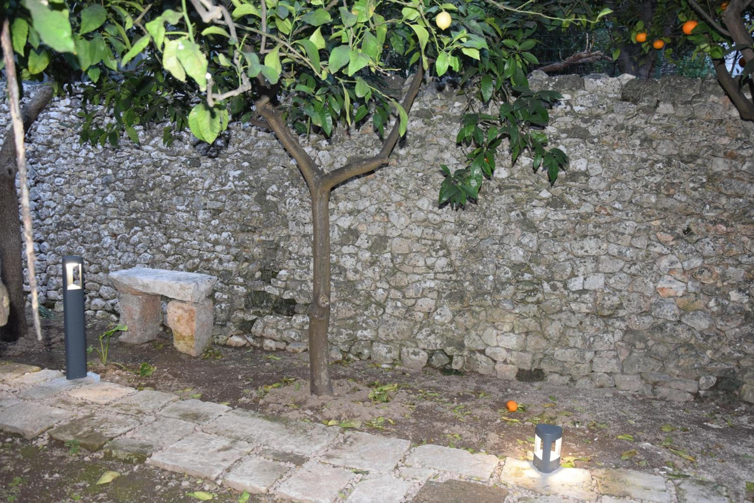 Photo 42