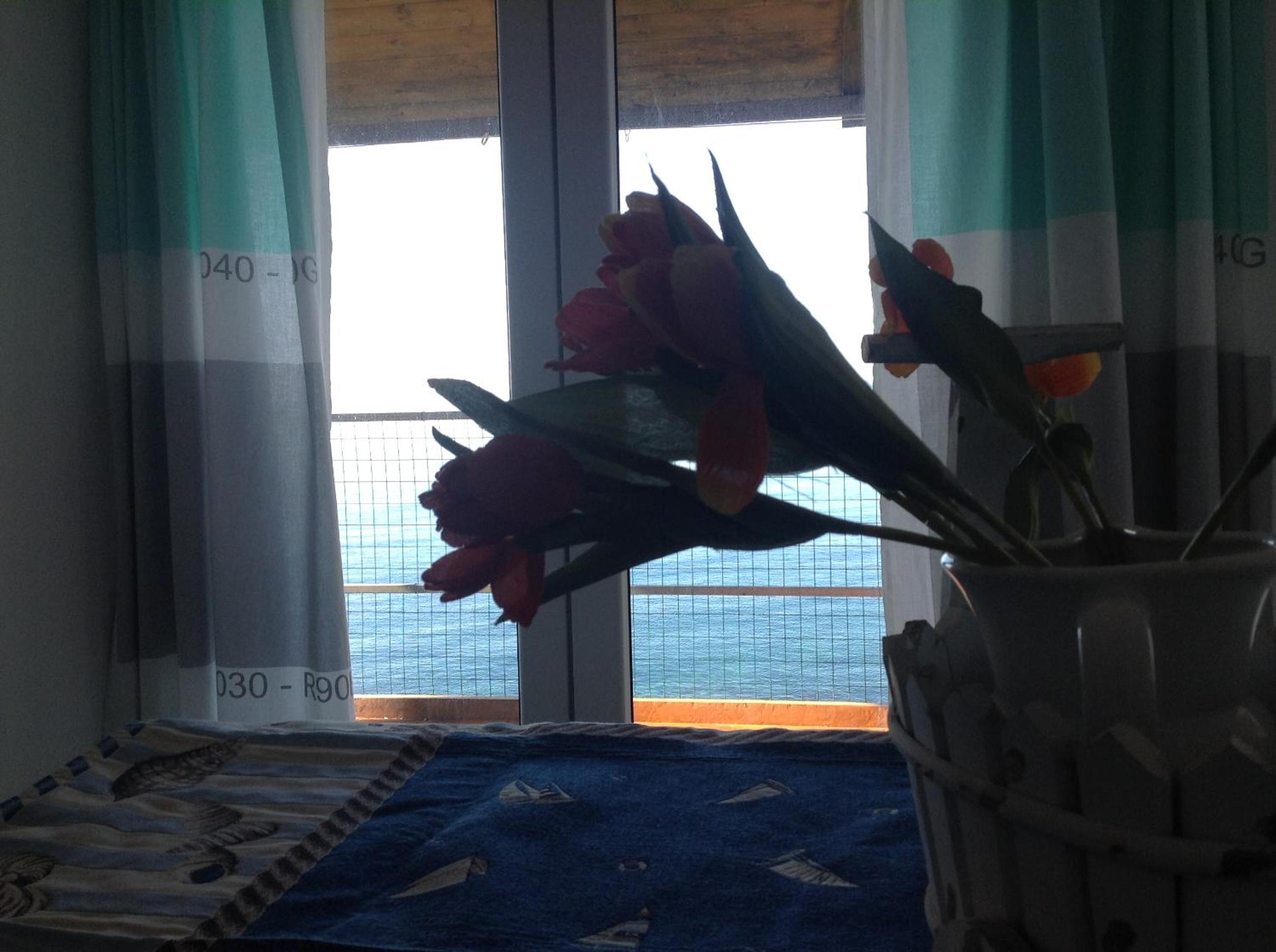 Photo 38