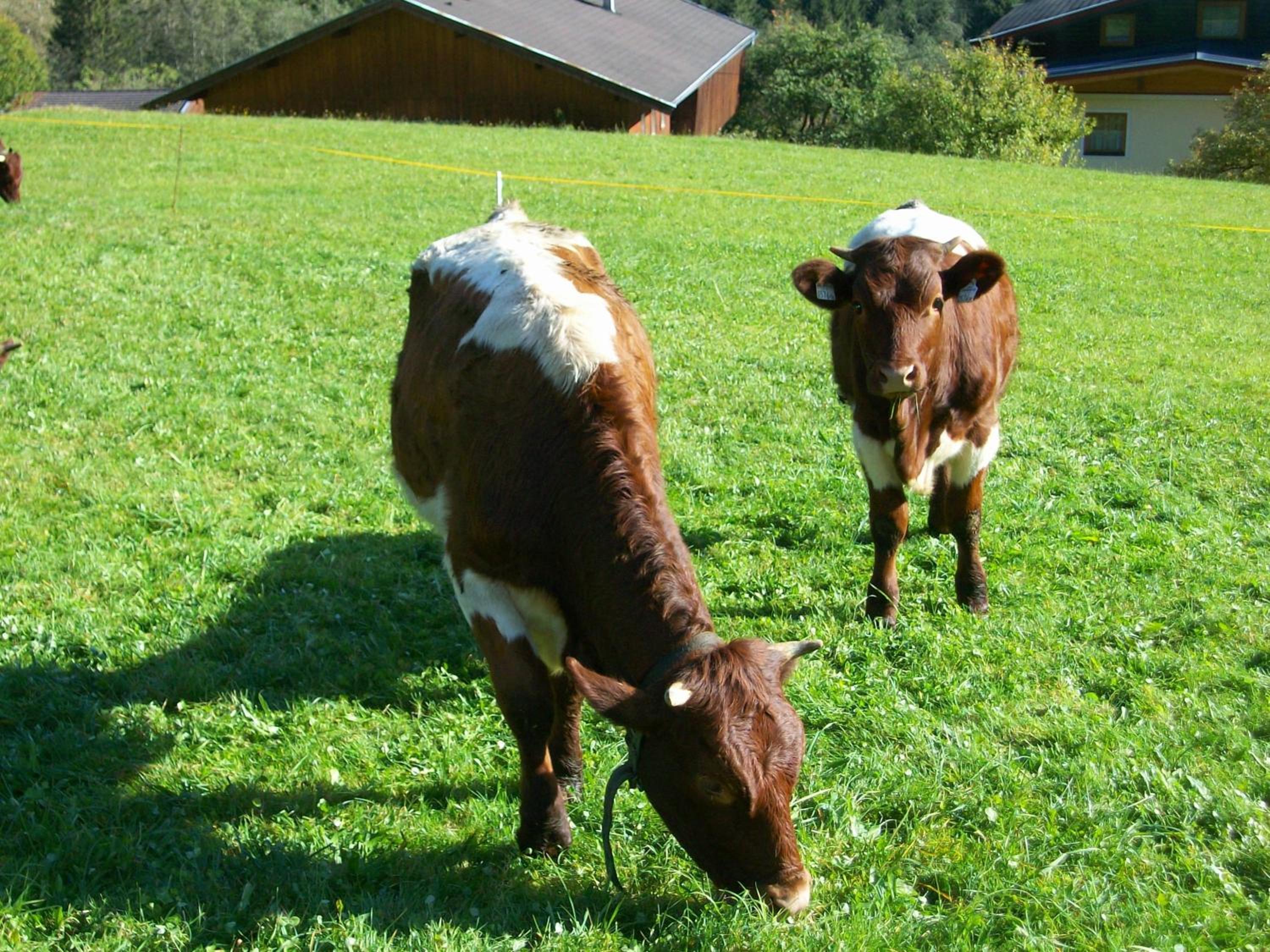 Oberschlassbergbauer