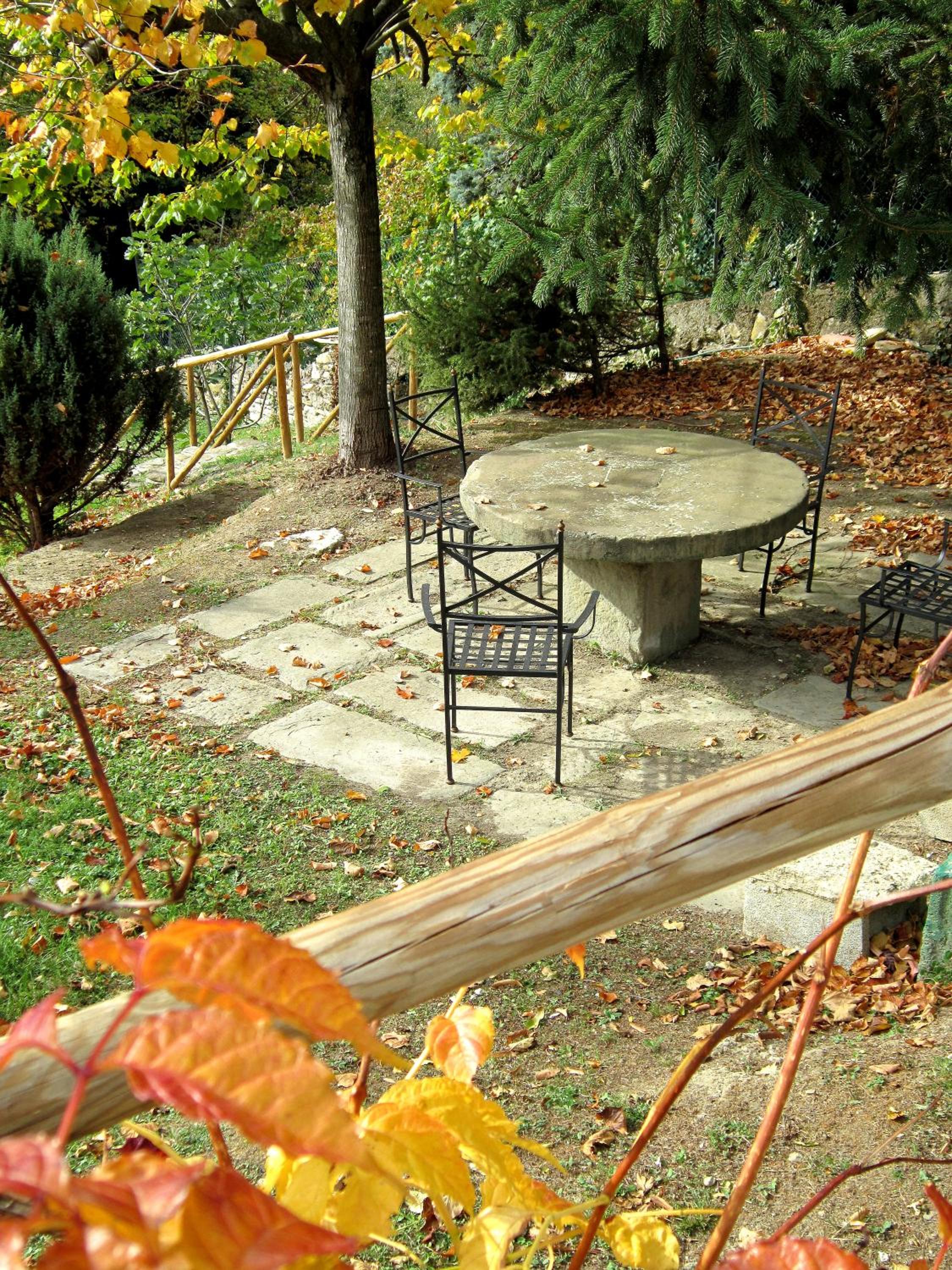 Photo 46