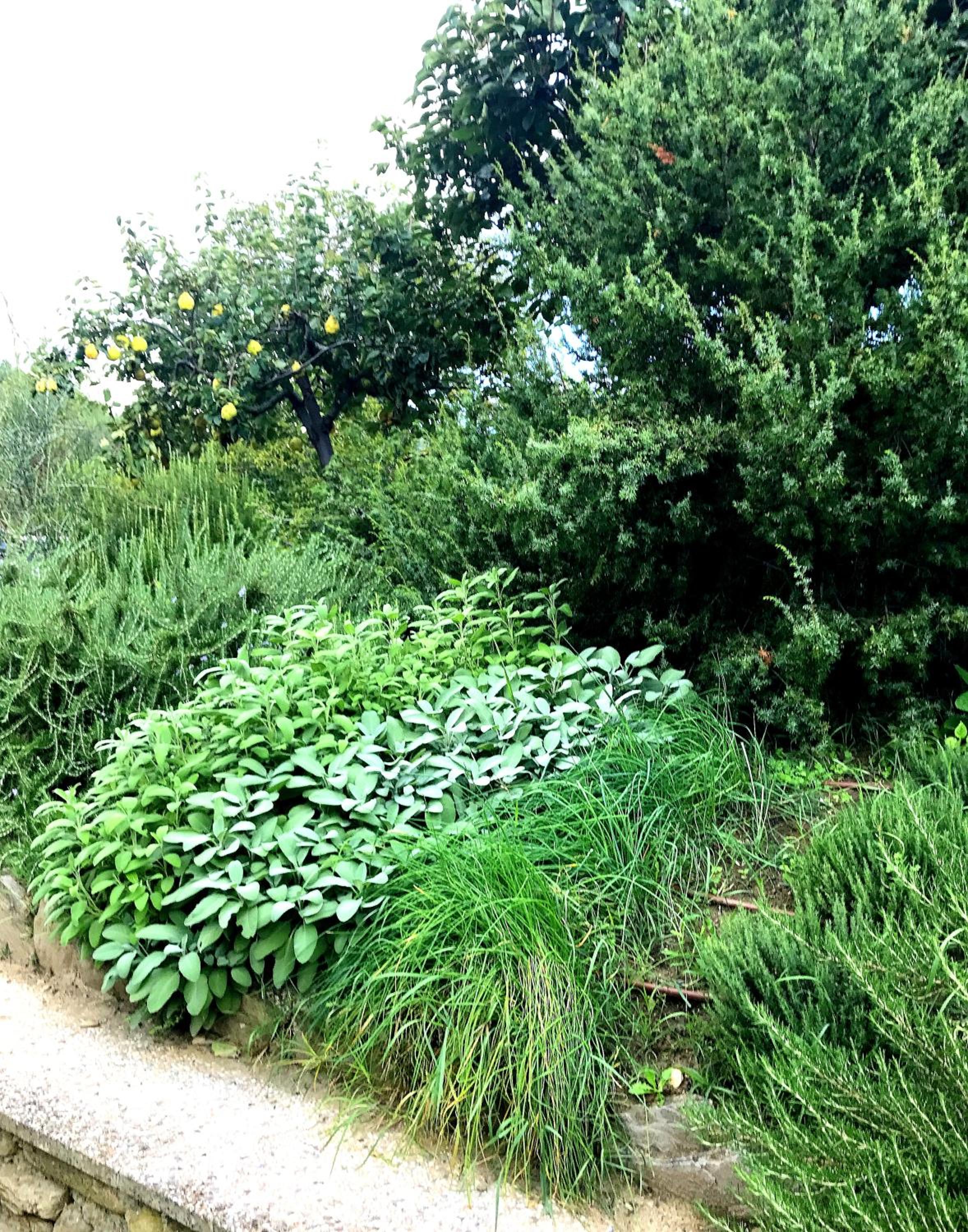 Photo 44