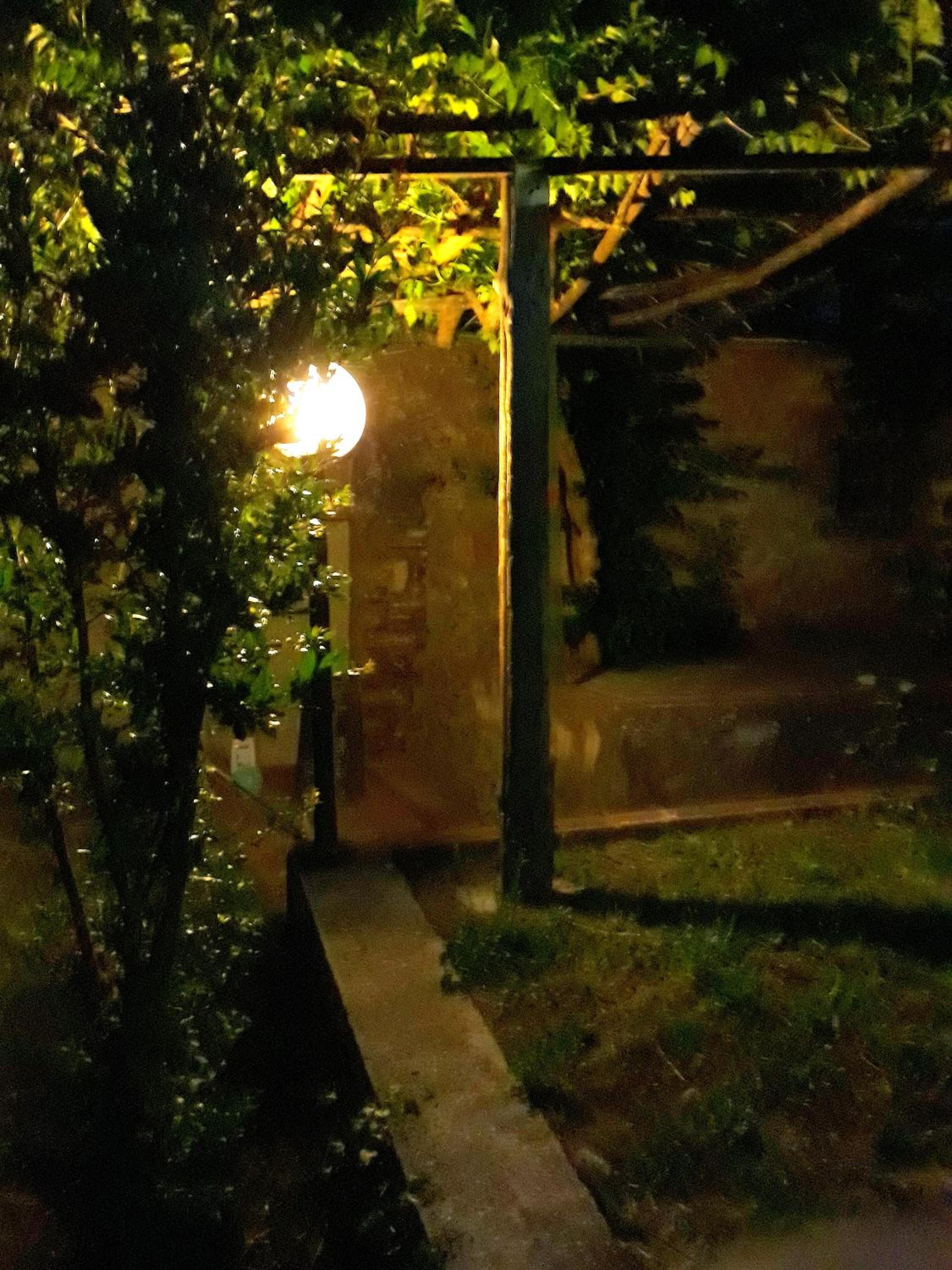 Photo 52