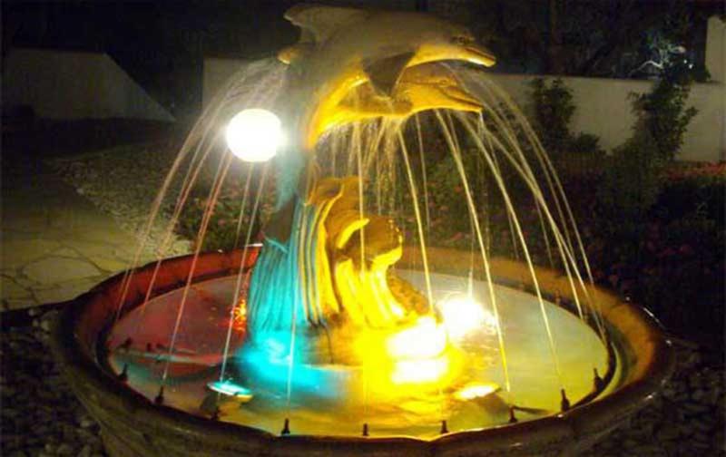 Photo 19