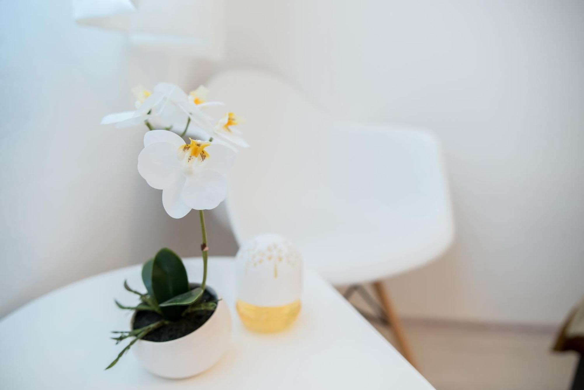 Saint Blaise Apartment