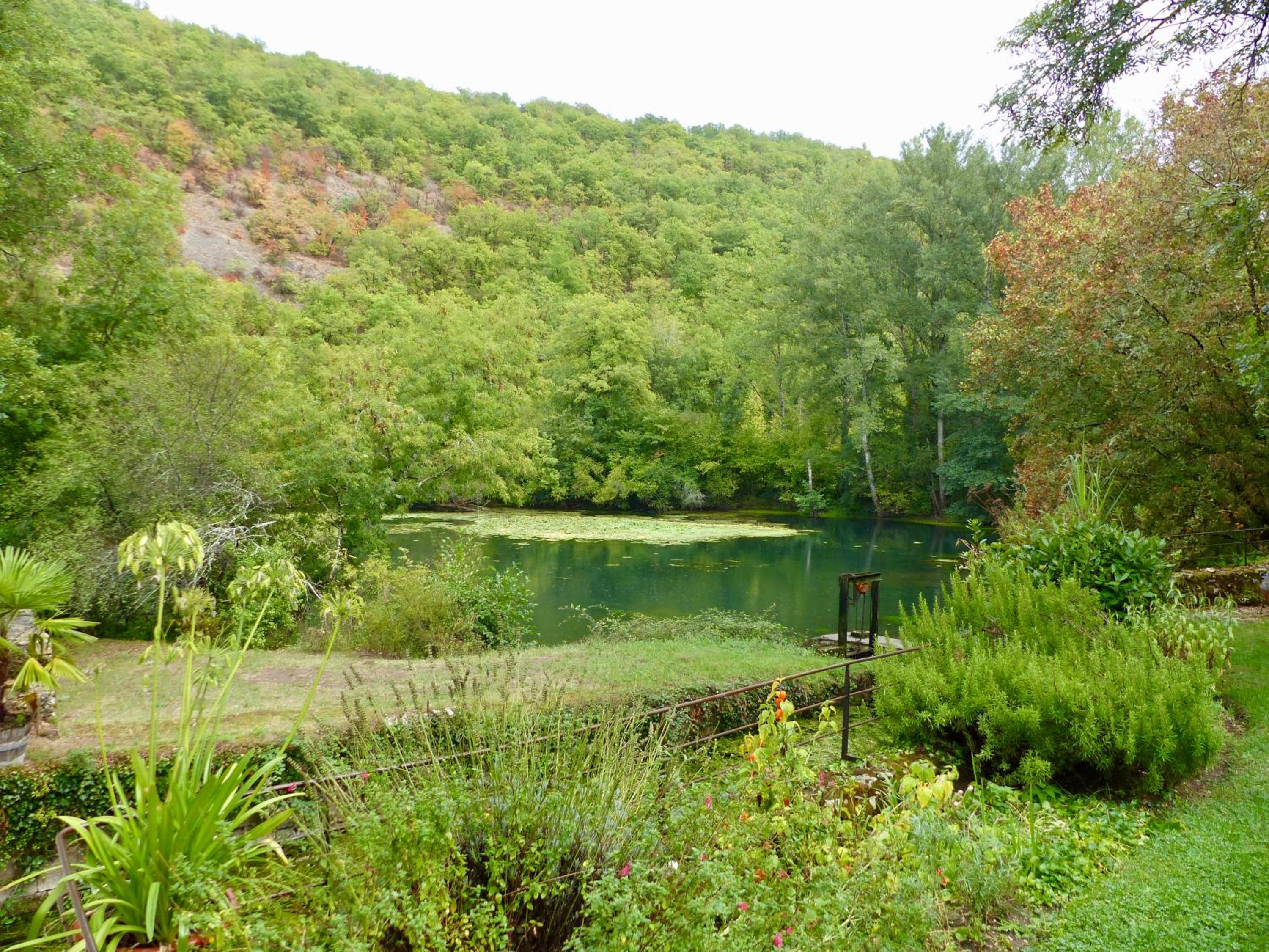 Photo 10