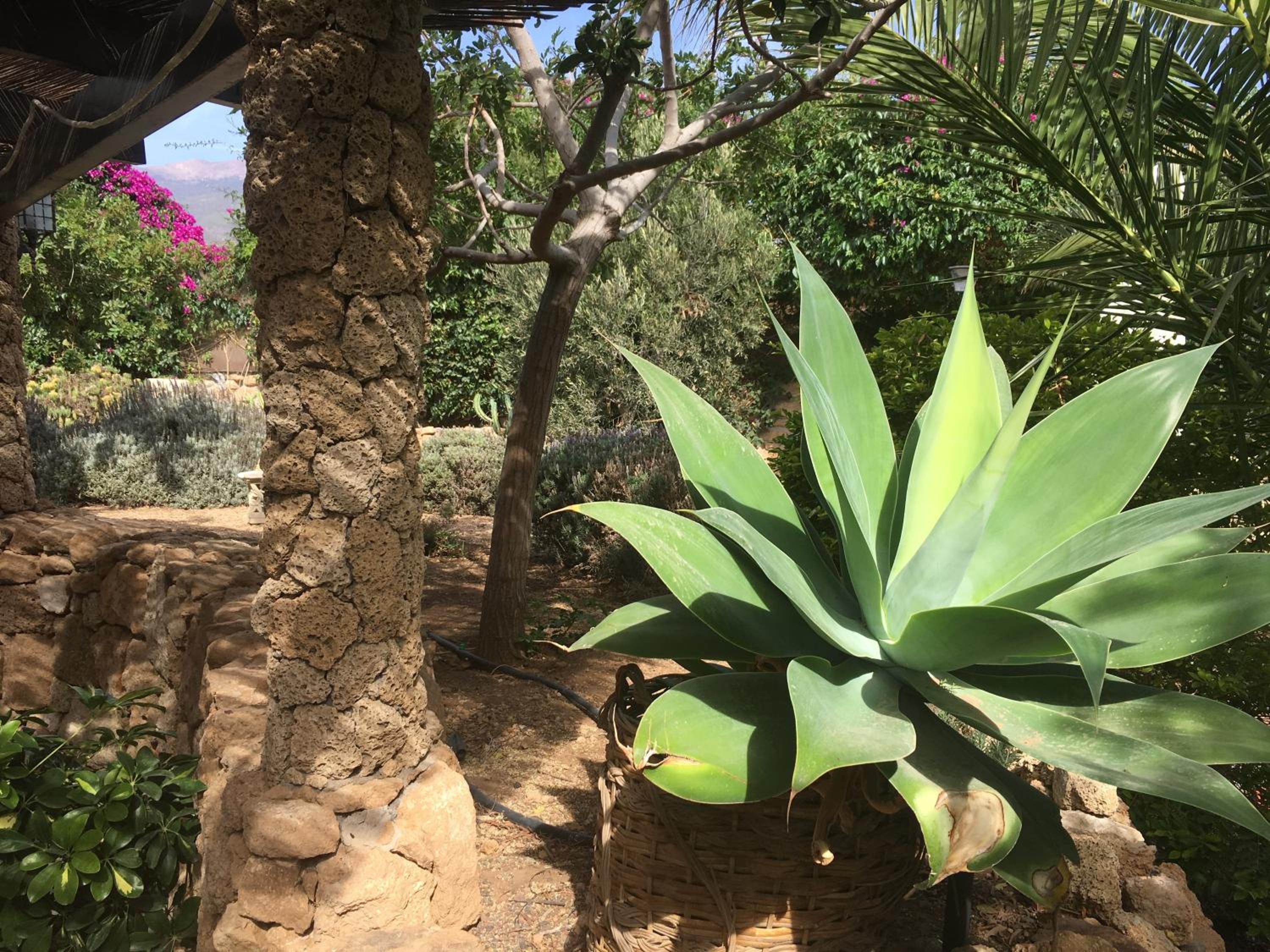 Finca Rural San Agustin