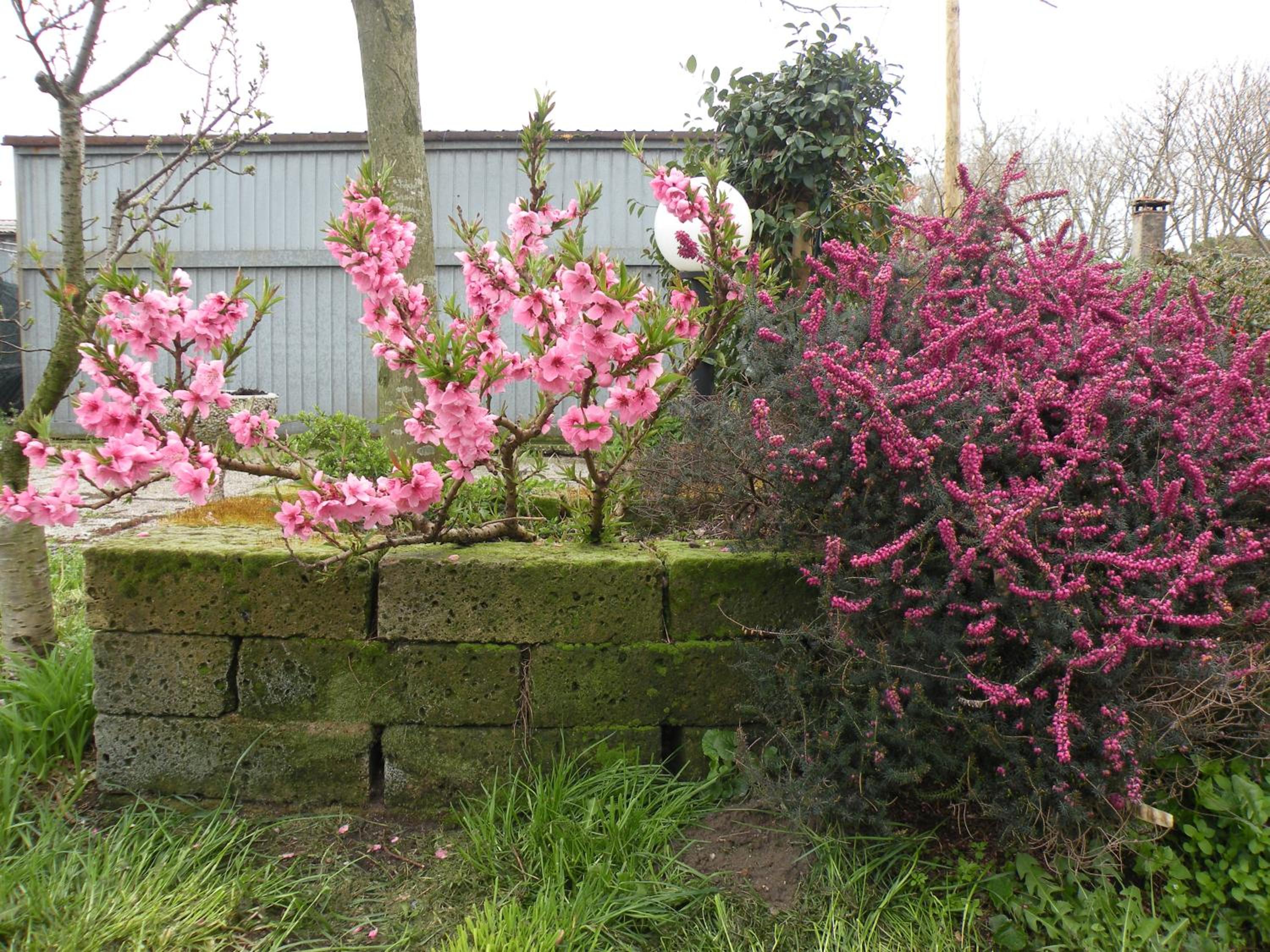 Photo 40